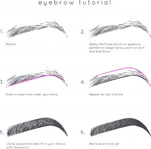 Perfect Brows Brow Tutorial