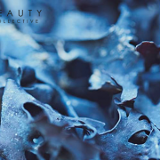 Beauty Collective - marine ingredients