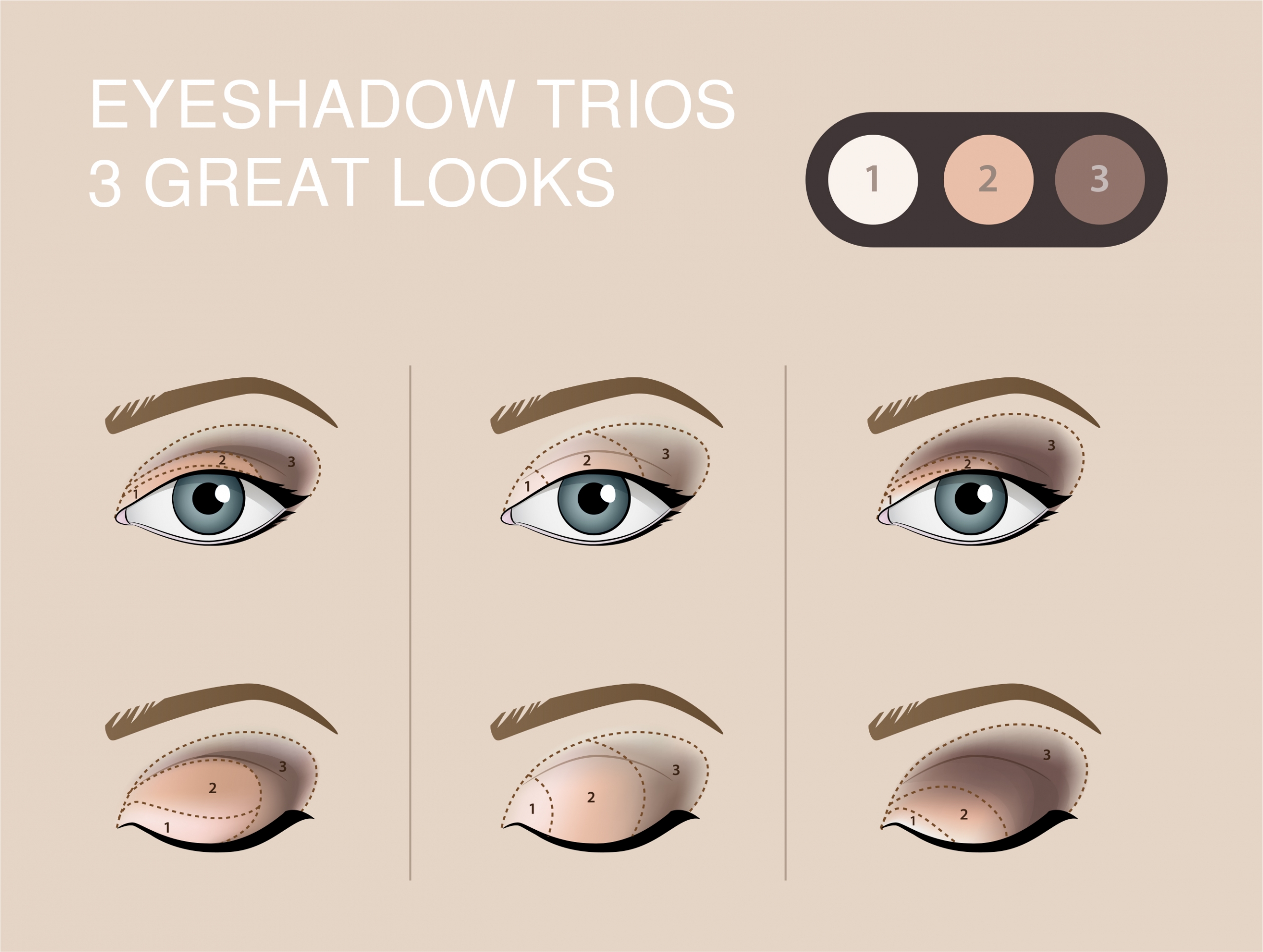 applying eye makeup diagram