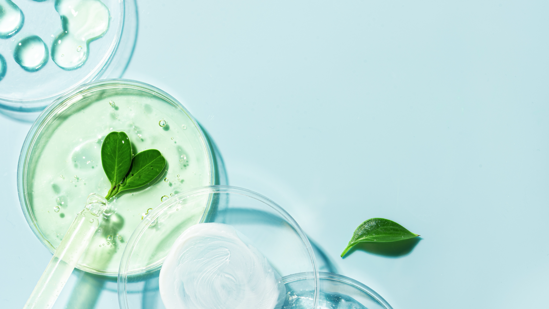 Blue Beauty vs. Green Beauty: What’s the difference?