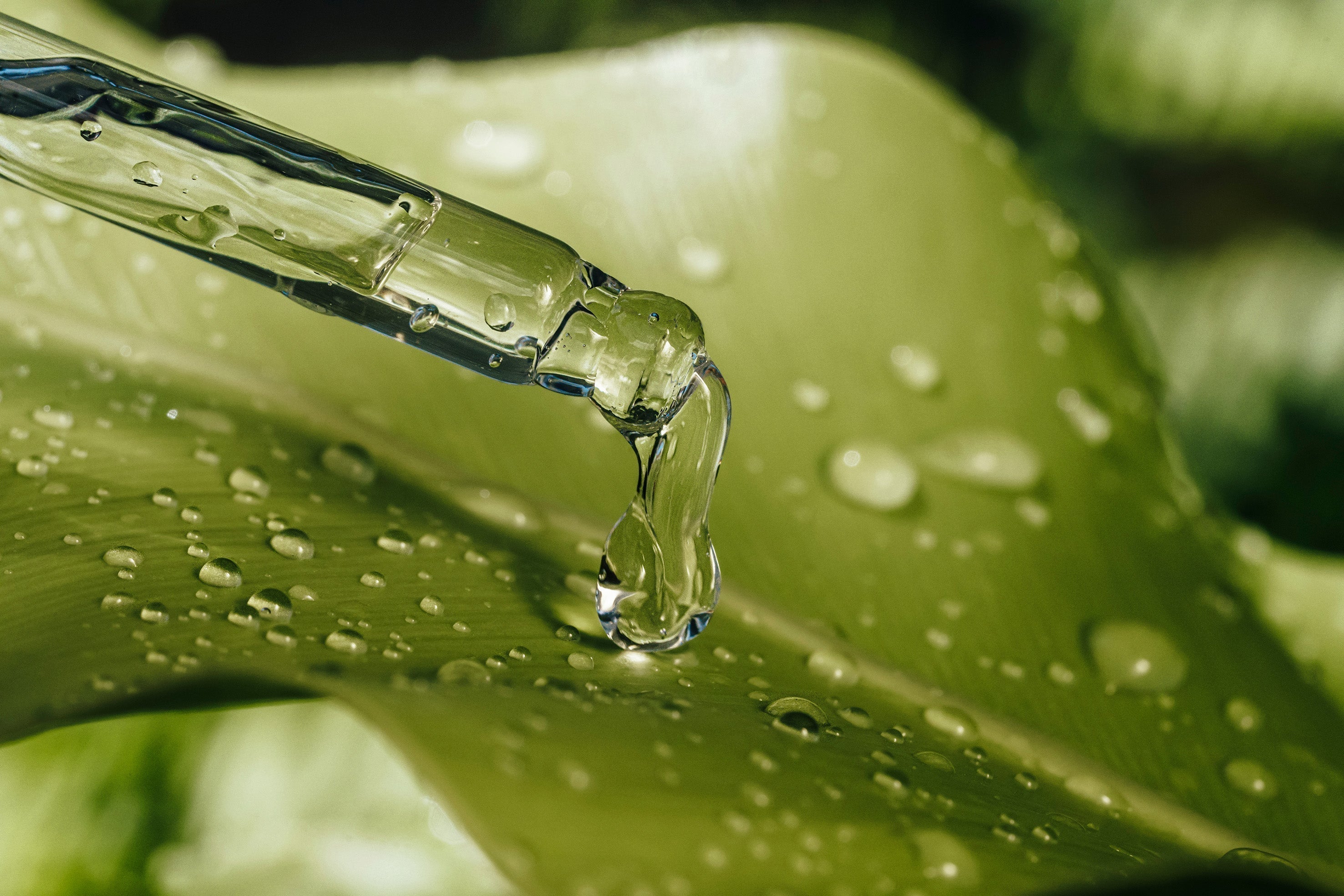 Vegan and organic skincare products with dropper bottle on a green leaf background — expert-approved clean beauty