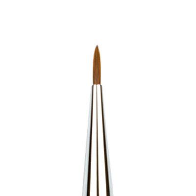 Paintbrush with brown bristle head and silver ferrule on a white background