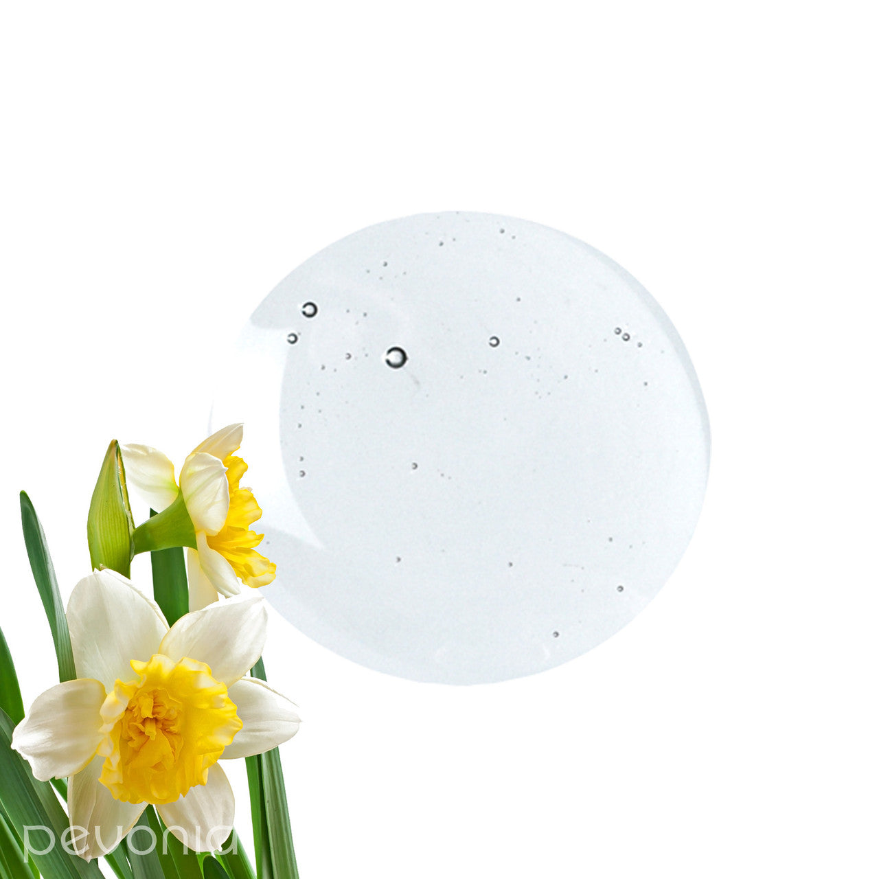 Pevonia Power Repair Intensifier Collagen indicating an image of texture  and flowers used as ingredients jpg