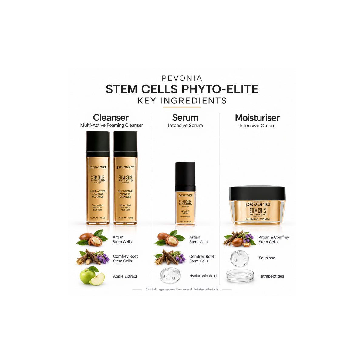 PEVONIA STEM CELLS REJUVENATION GIFT BOX — Ingredient Guide