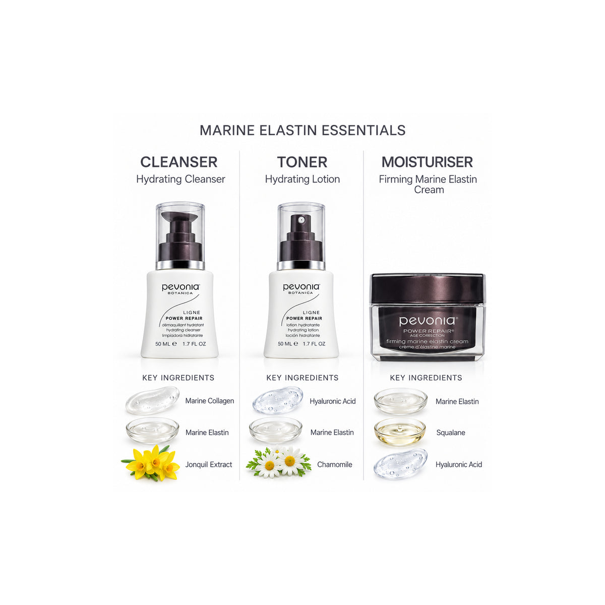 PEVONIA Power Repair Elastin Gift Box — Ingredient Guide