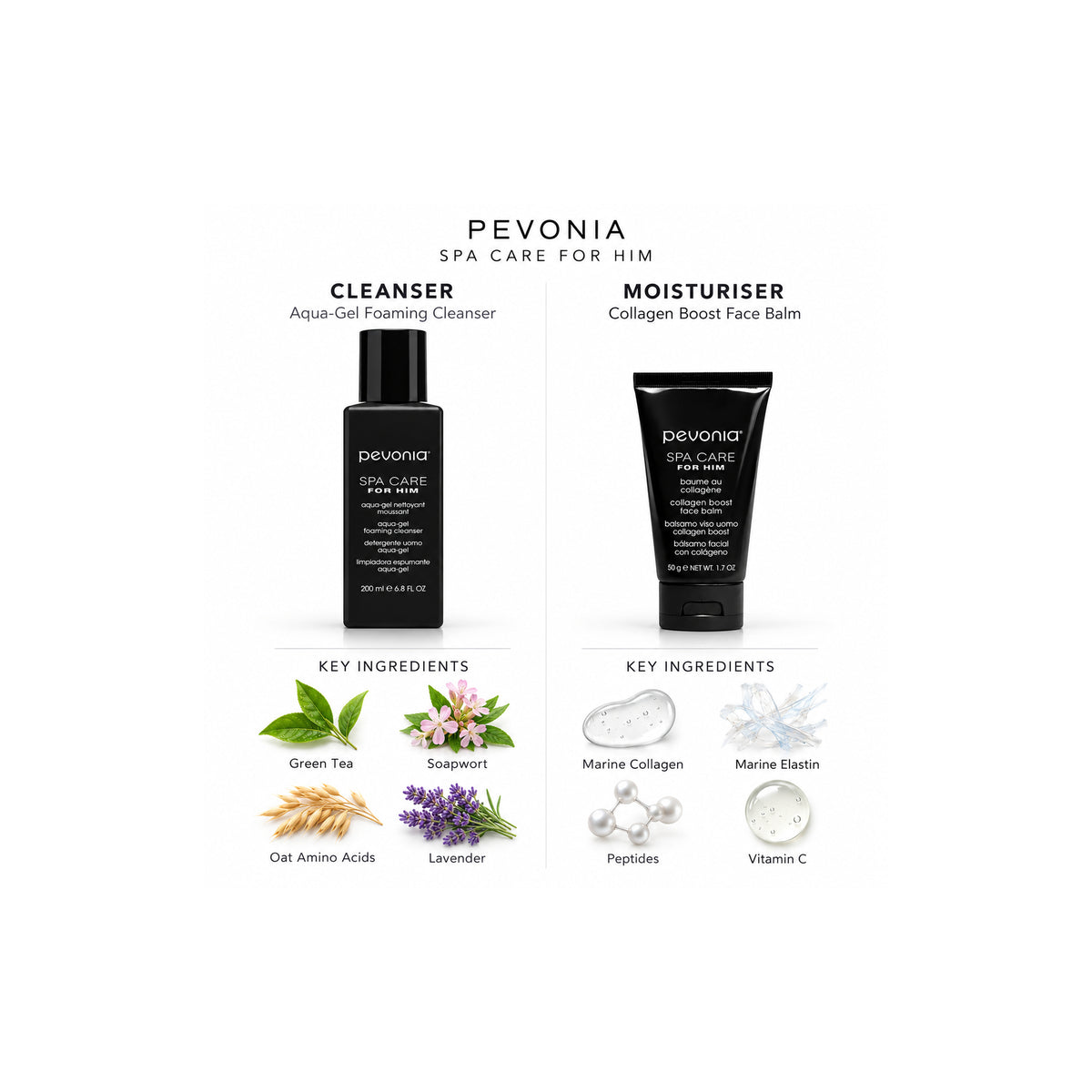 Pevonia Men's Gift Pack — Ingredient Guide