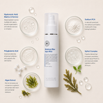 “Minimal HUBISLAB Moisture Max Aqua Mist ingredient flatlay featuring Hyaluronic Acid Matrix, Sodium PCA, Polyglutamic Acid, Xylitol Complex, and Algae Extract arranged with clean spacing around the product on a soft neutral background