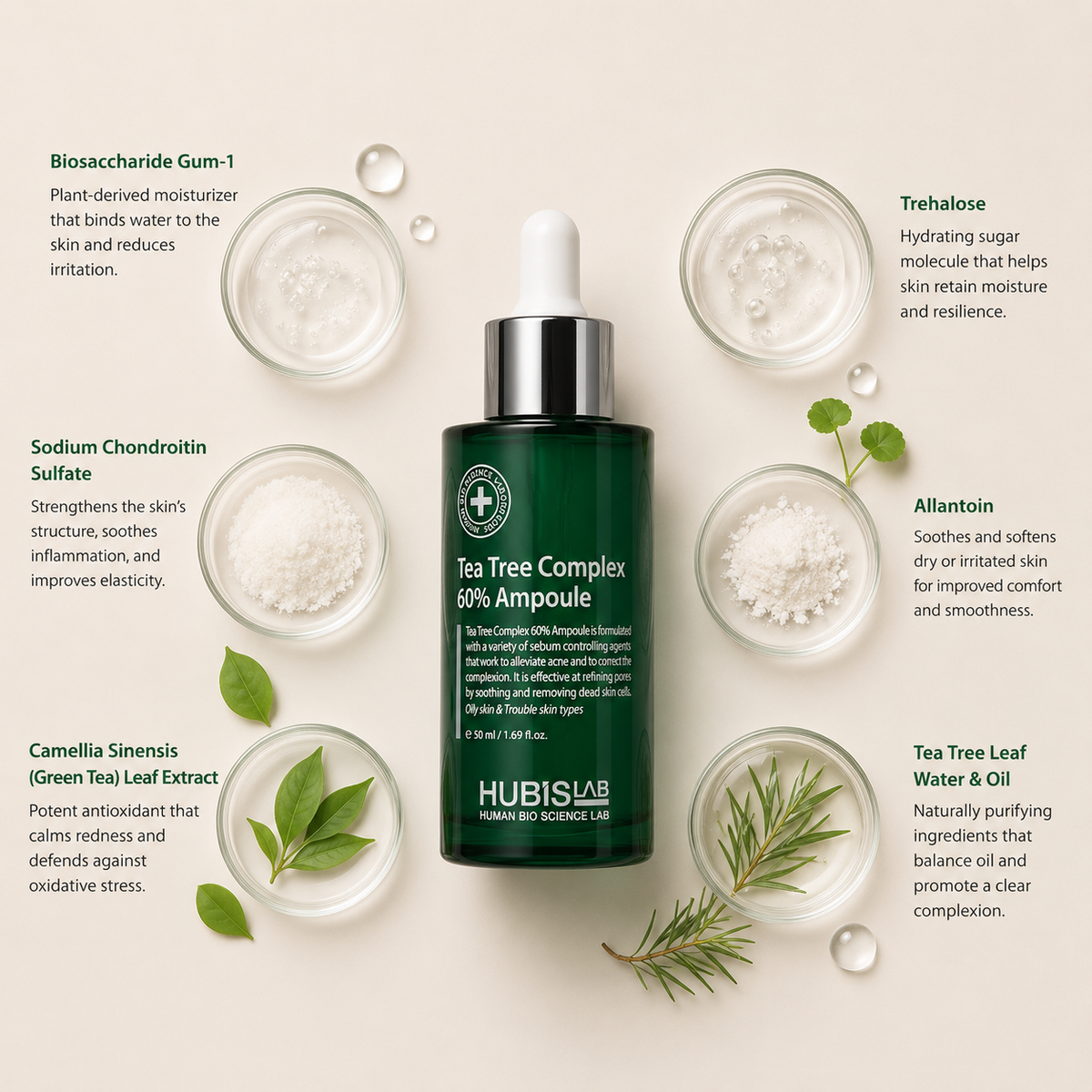 “Minimal HUBISLAB Tea Tree Complex 60% Ampoule ingredient flatlay featuring Biosaccharide Gum-1, Sodium Chondroitin Sulfate, Camellia Sinensis (Green Tea) Leaf Extract, Trehalose, Allantoin, and Tea Tree Leaf Water & Oil arranged with clean spacing around the product on a soft neutral background