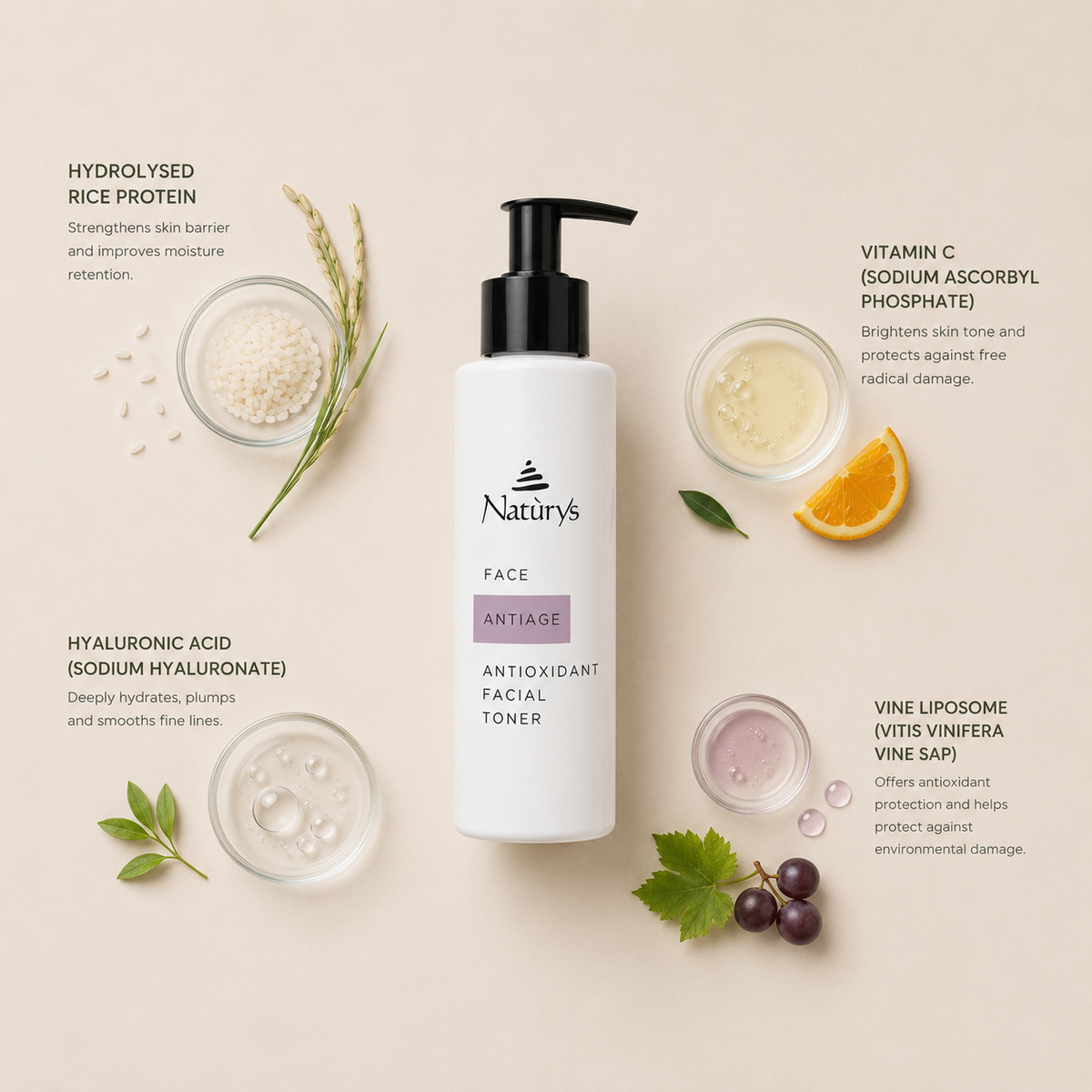 “Minimal NATURYS Anti Age Antioxidant Facial Toner ingredient flatlay featuring hydrolysed rice protein, vitamin C (sodium ascorbyl phosphate), hyaluronic acid (sodium hyaluronate), and vine liposome (vitis vinifera vine sap) arranged elegantly around the product with refined botanical spa styling on a soft neutral background