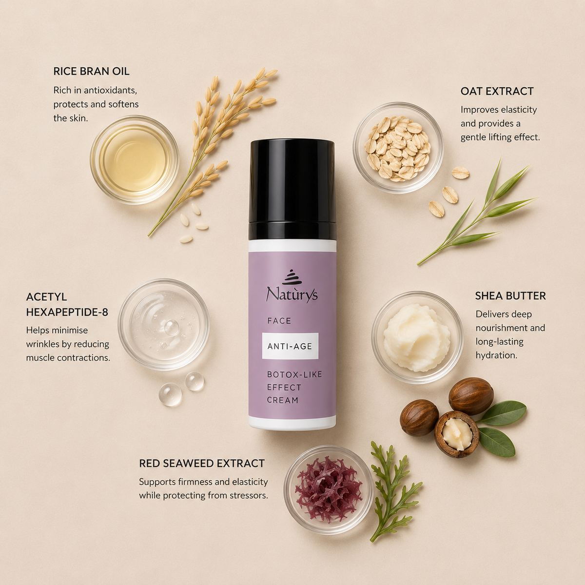 Minimal NATURYS Anti-Age Botox-Like Effect Cream ingredient flatlay featuring rice bran oil, oat extract, acetyl-hexapeptide-8, shea butter, and red seaweed extract arranged elegantly around the product with refined botanical spa styling on a soft neutral background