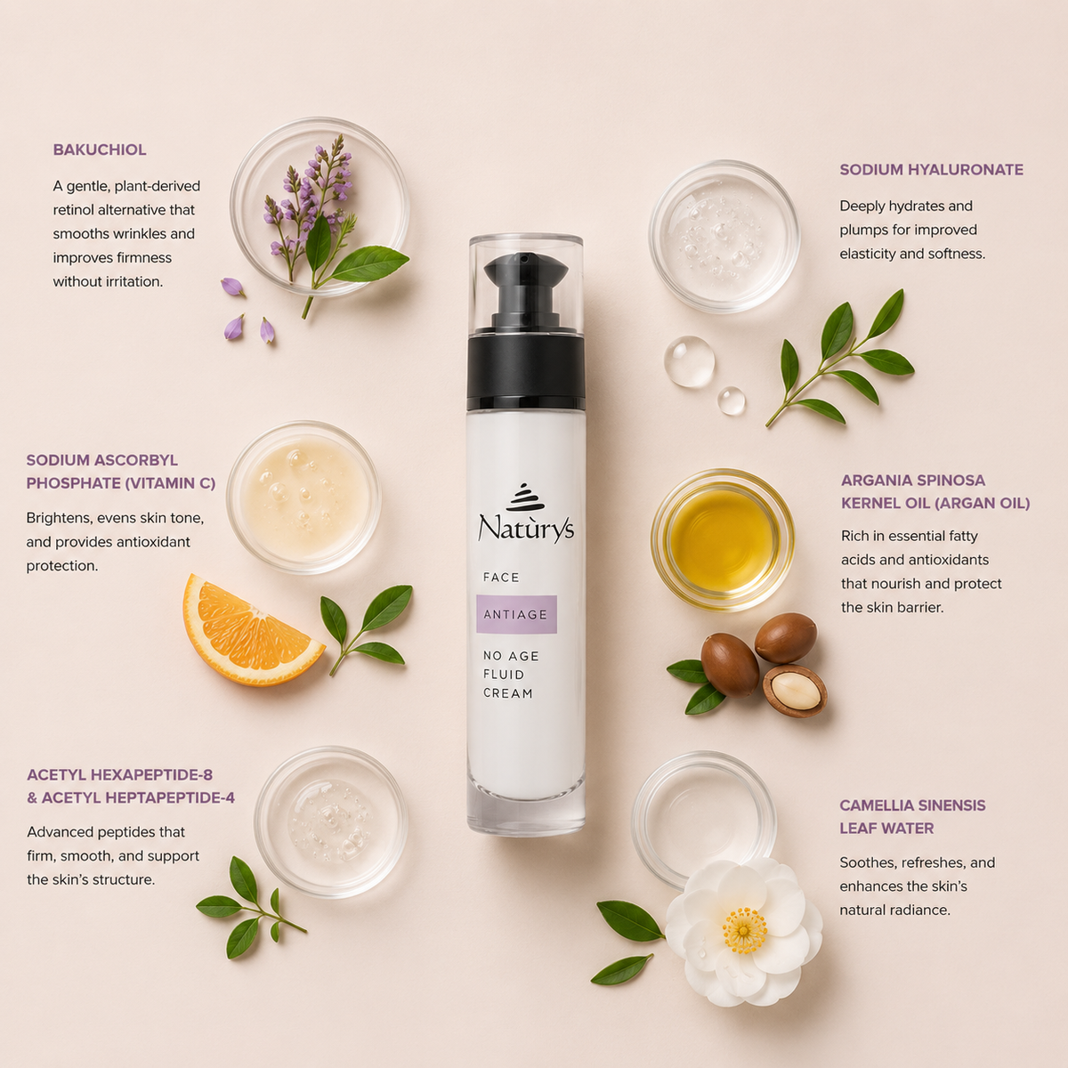 “Minimal NATURYS Anti Age No Age Fluid Cream ingredient flatlay featuring bakuchiol, sodium ascorbyl phosphate (vitamin C), acetyl hexapeptide-8 and acetyl heptapeptide-4 peptides, sodium hyaluronate, argania spinosa kernel oil (argan oil), and camellia sinensis leaf water arranged elegantly around the product with refined botanical spa styling on a soft neutral background