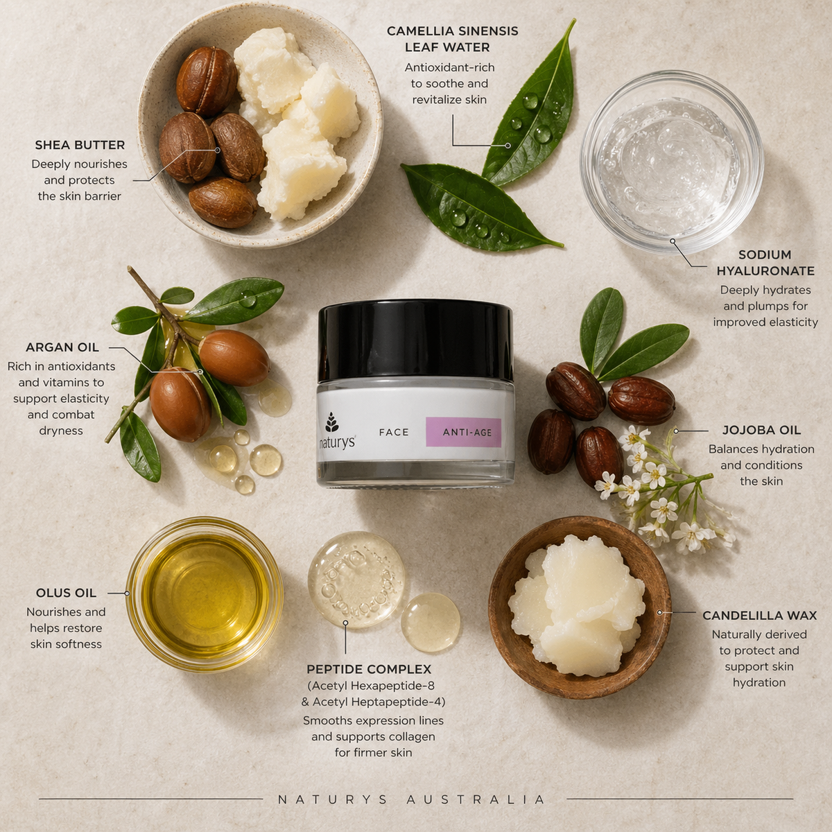 Anti-Age No Age Rich Cream 50ml with ingredients and their benefits displayed on a neutral background