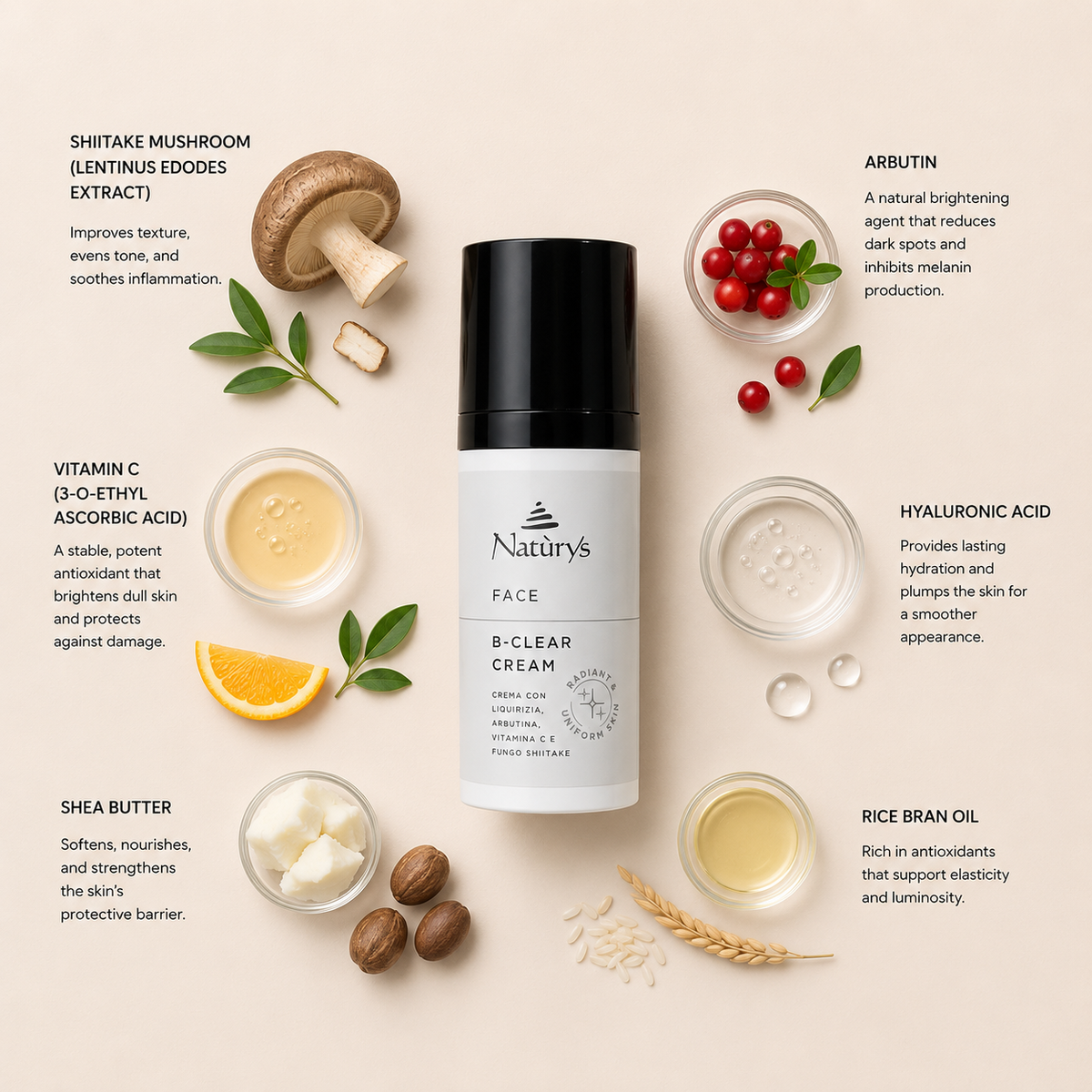 “Minimal NATURYS B-Clear Cream ingredient flatlay featuring shiitake mushroom (lentinus edodes extract), arbutin, vitamin C (3-O-ethyl ascorbic acid), hyaluronic acid, shea butter, and rice bran oil arranged elegantly around the product with refined botanical spa styling on a soft neutral background