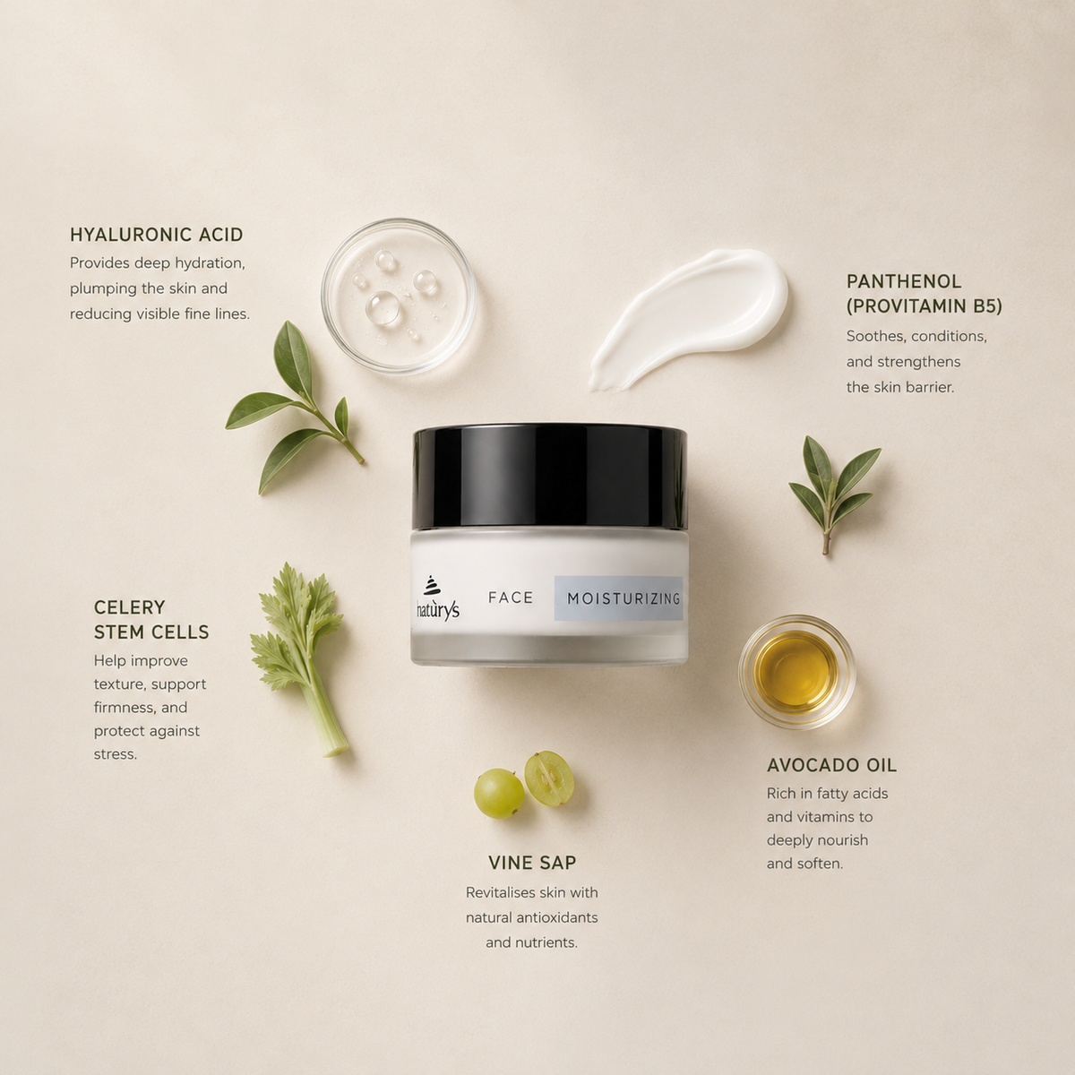“Minimal NATURYS Moisturising Hydra Cream 24H 50ml ingredient flatlay featuring hyaluronic acid, panthenol (provitamin B5), celery stem cells, avocado oil, and vine sap arranged elegantly around the product with refined botanical spa styling on a soft neutral background
