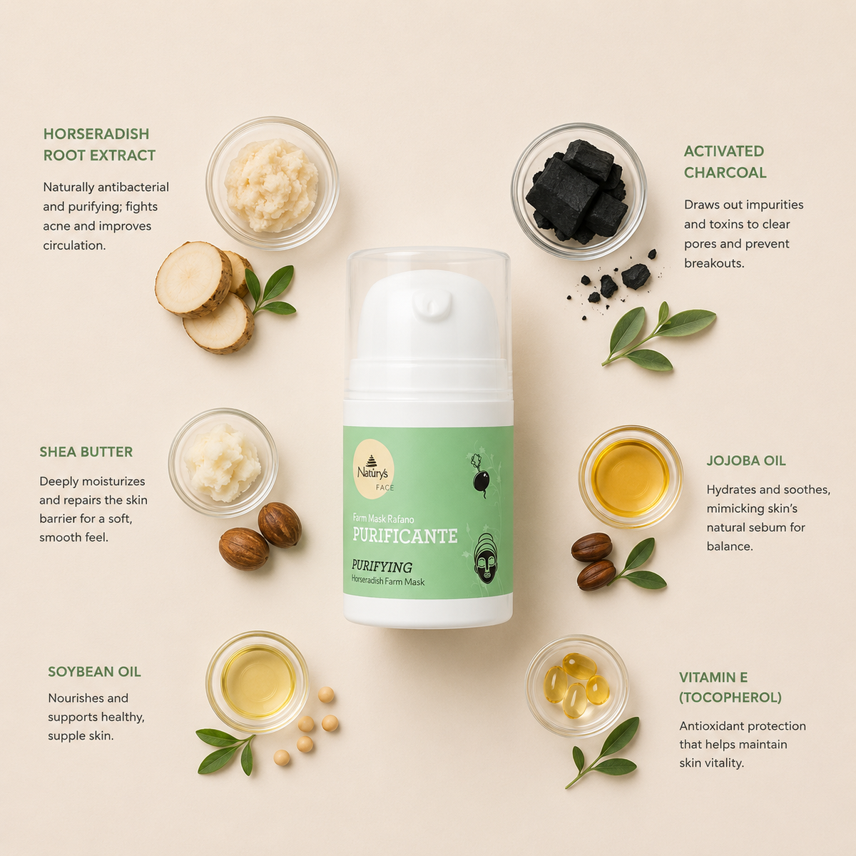 Naturys Purifying Horseradish Farm Mask ingredient flatlay featuring horseradish root extract, activated charcoal, shea butter, jojoba oil, soybean oil and vitamin E arranged in a clean minimal botanical skincare composition with soft green accents and clinical luxury styling.