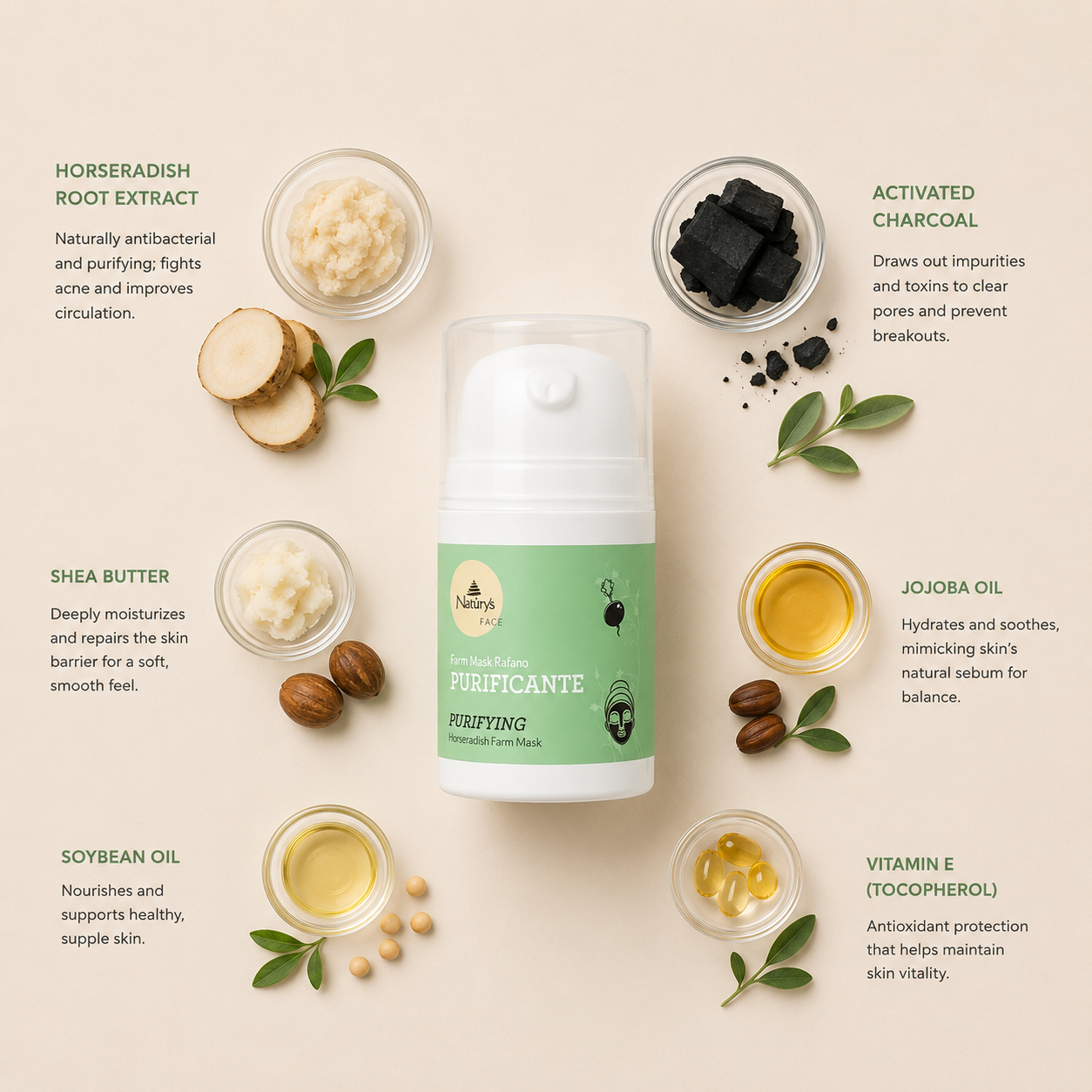 Naturys Purifying Horseradish Farm Mask ingredient flatlay featuring horseradish root extract, activated charcoal, shea butter, jojoba oil, soybean oil and vitamin E arranged in a clean minimal botanical skincare composition with soft green accents and clinical luxury styling.