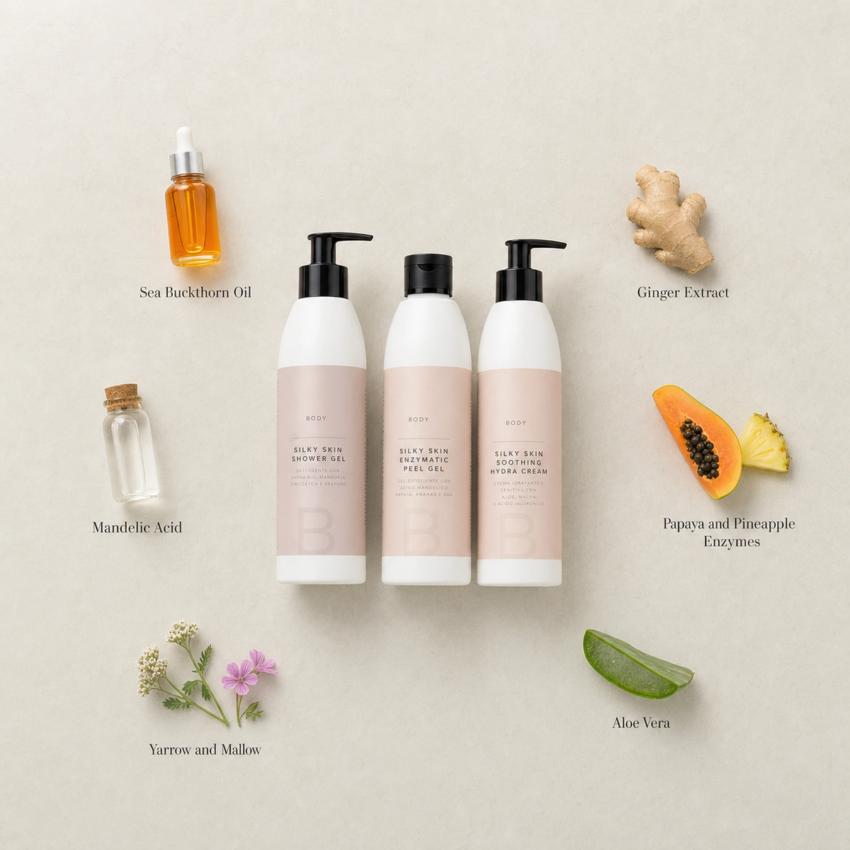  Naturys Silky Skin Body Set surrounded by labelled organic key ingredients including Sea Buckthorn Oil, Ginger Extract, Mandelic Acid, Papaya and Pineapple Enzymes, Yarrow and Mallow, and Aloe Vera on a warm stone surface