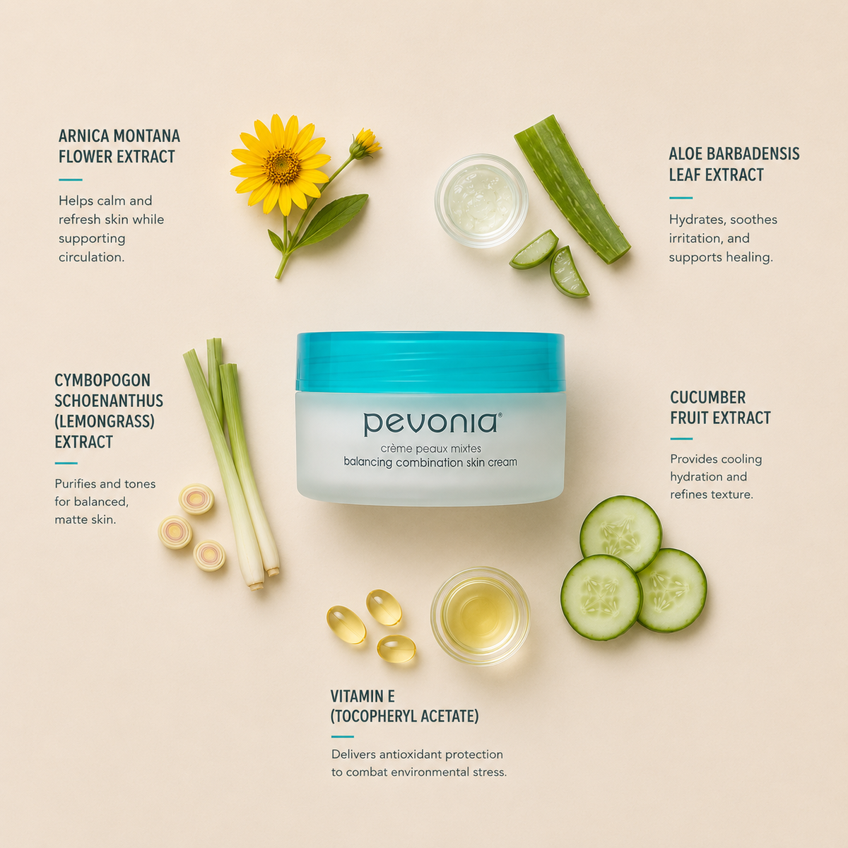 Minimal Pevonia Balancing Combination Skin Cream ingredient flatlay featuring arnica montana flower extract, aloe vera, lemongrass extract, cucumber fruit extract and vitamin E arranged with clean spacing around the cream jar on a soft neutral background
