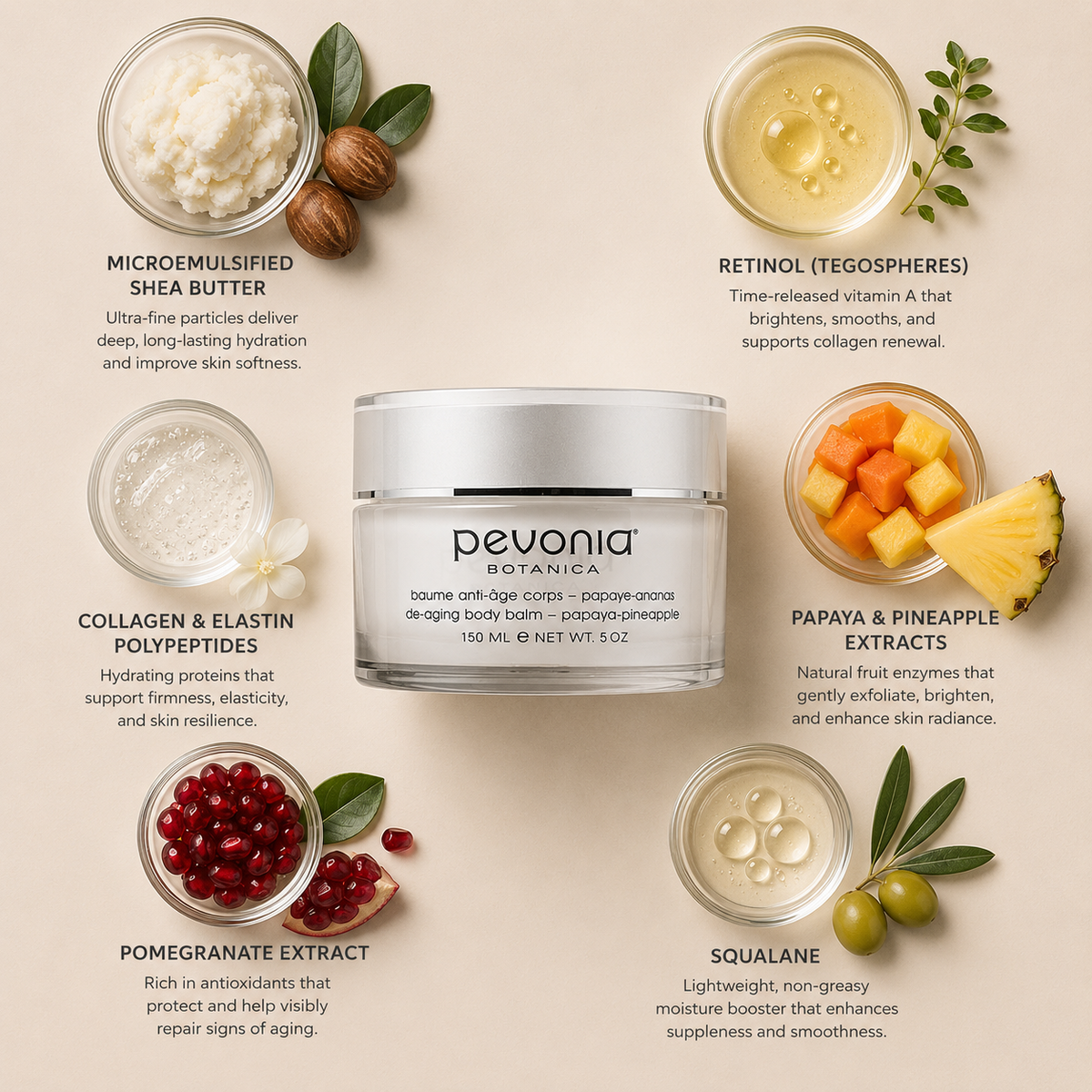 Pevonia Botanica De-Aging Body Balm Papaya Pineapple ingredient flatlay featuring microemulsified shea butter, retinol, collagen and elastin polypeptides, papaya and pineapple extracts, pomegranate extract and squalane arranged around product on a soft neutral background