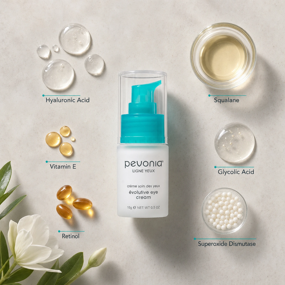 Pevonia Evolutive Eye Cream 15ml ingredient flatlay with Hyaluronic Acid, Squalane, Vitamin E, Glycolic Acid, Retinol and Superoxide Dismutase
