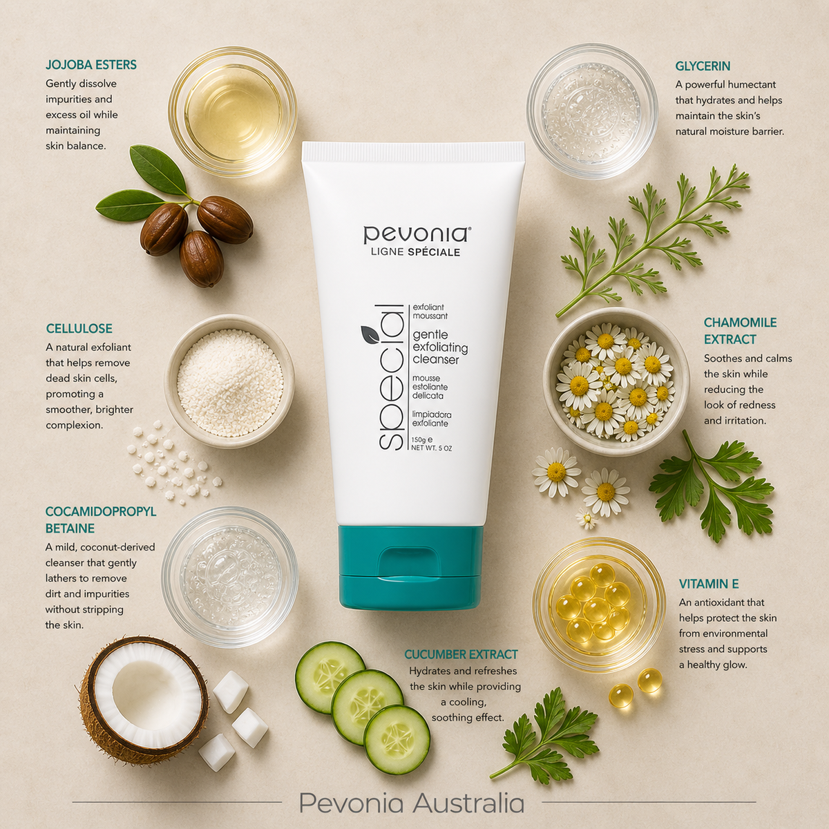 Pevonia Gentle Exfoliating Cleanser 150g ingredient flatlay with jojoba esters, glycerin, cellulose, chamomile extract, cocamidopropyl betaine, cucumber extract and vitamin E on beige background with Pevonia Australia watermark
