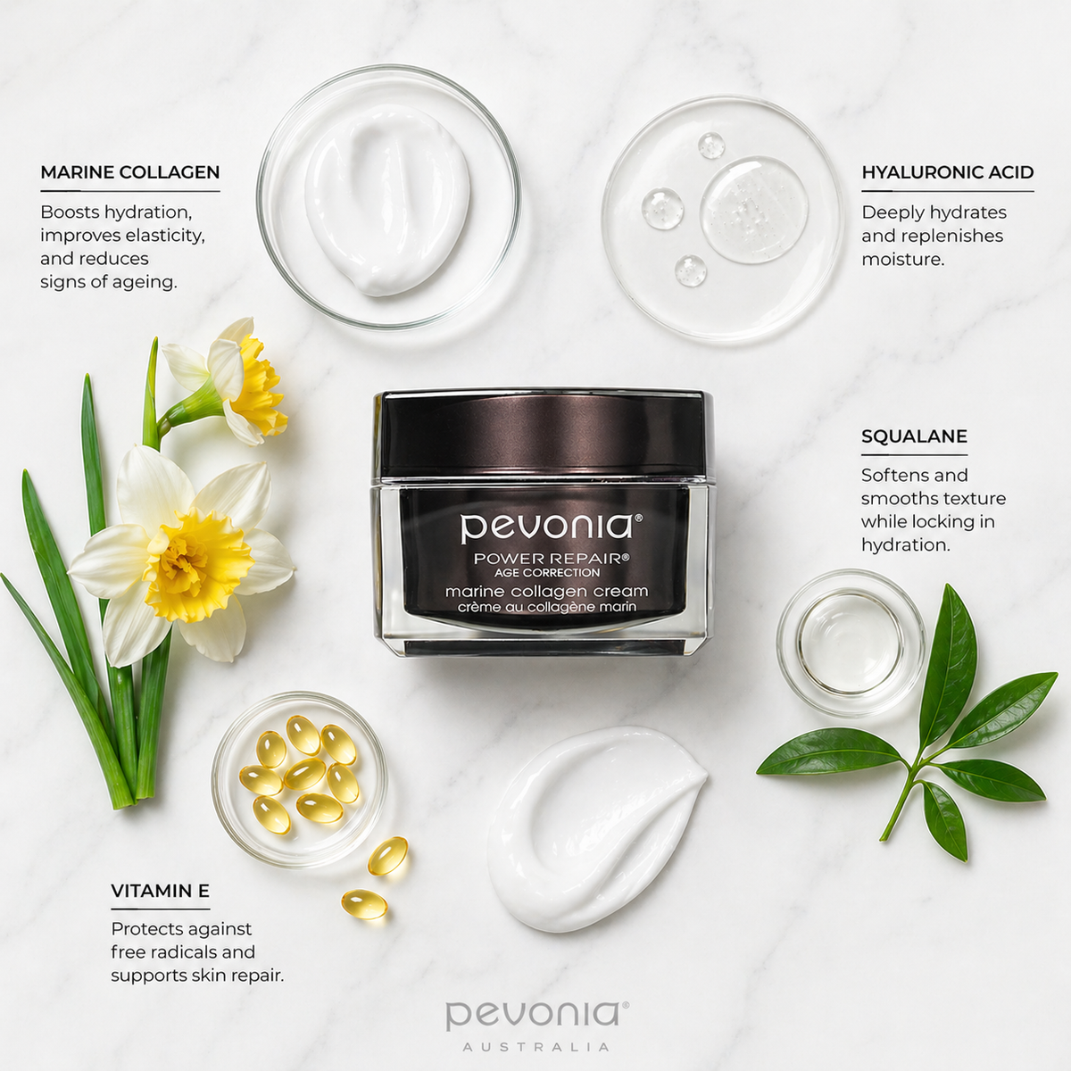 Pevonia Marine Collagen Cream ingredient flat lay featuring marine collagen, hyaluronic acid, squalane and vitamin E with product jar centred on white marble background and subtle Pevonia Australia watermark at bottom centre