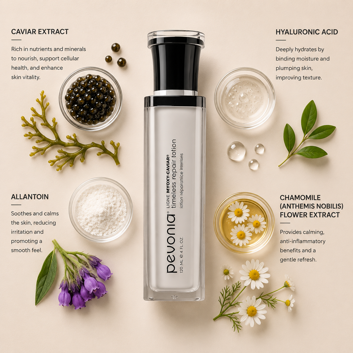 Pevonia Myoxy-Caviar Timeless Repair Lotion ingredient flatlay featuring caviar extract, hyaluronic acid, allantoin and chamomile flower extract arranged around product on a soft neutral background