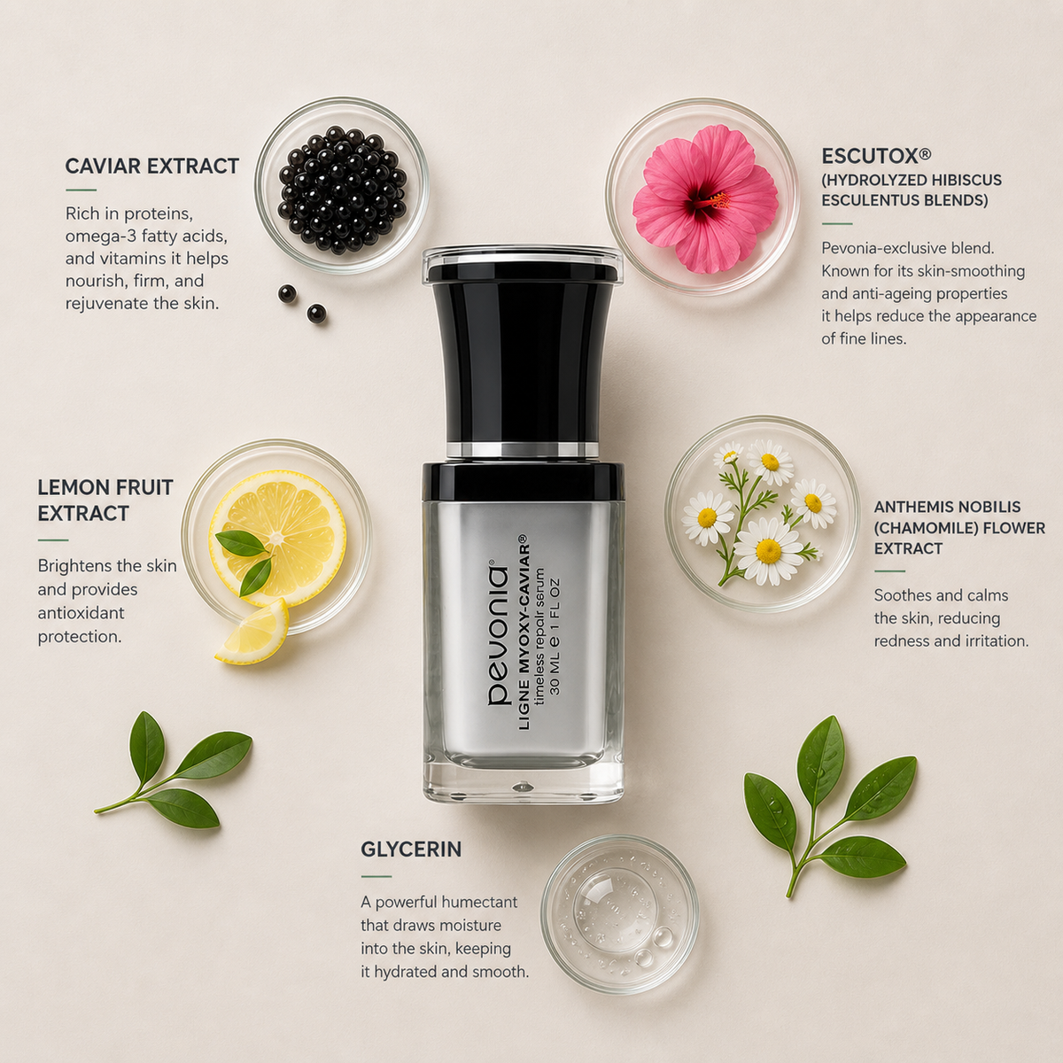 Pevonia Myoxy-Caviar Timeless Repair Serum ingredient flatlay featuring caviar extract, hibiscus extract, lemon fruit extract, chamomile flower extract and glycerin arranged in glass dishes around product on a soft neutral background