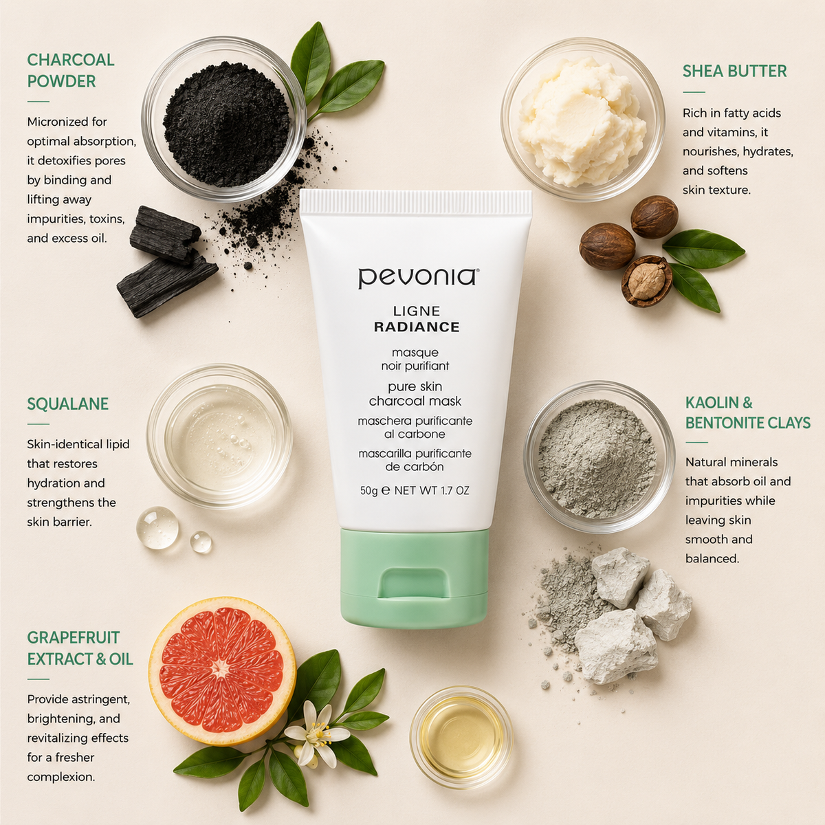 Pevonia Pure Skin Charcoal Mask ingredient flatlay featuring charcoal powder, shea butter, squalane, kaolin and bentonite clays, and grapefruit extract with oil arranged around product on a soft neutral background