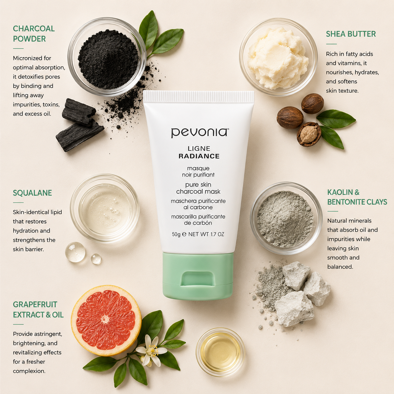 Pevonia Pure Skin Charcoal Mask ingredient flatlay featuring charcoal powder, shea butter, squalane, kaolin and bentonite clays, and grapefruit extract with oil arranged around product on a soft neutral background