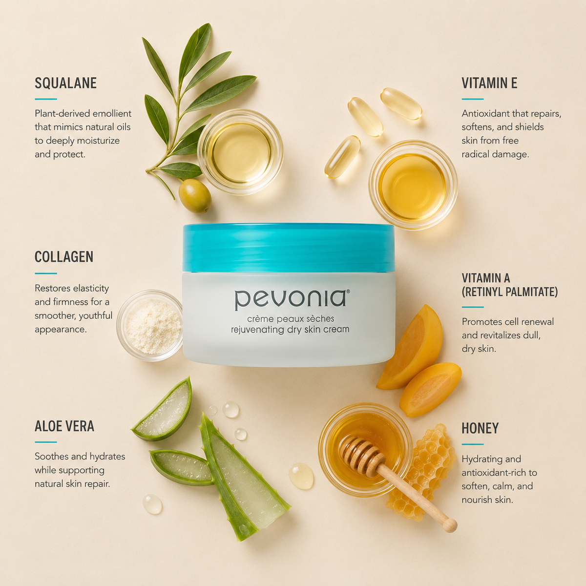 Minimal Pevonia Rejuvenating Dry Skin Cream ingredient flatlay featuring squalane, vitamin E, collagen, vitamin A, aloe vera and honey arranged with clean spacing around the cream jar on a soft neutral background