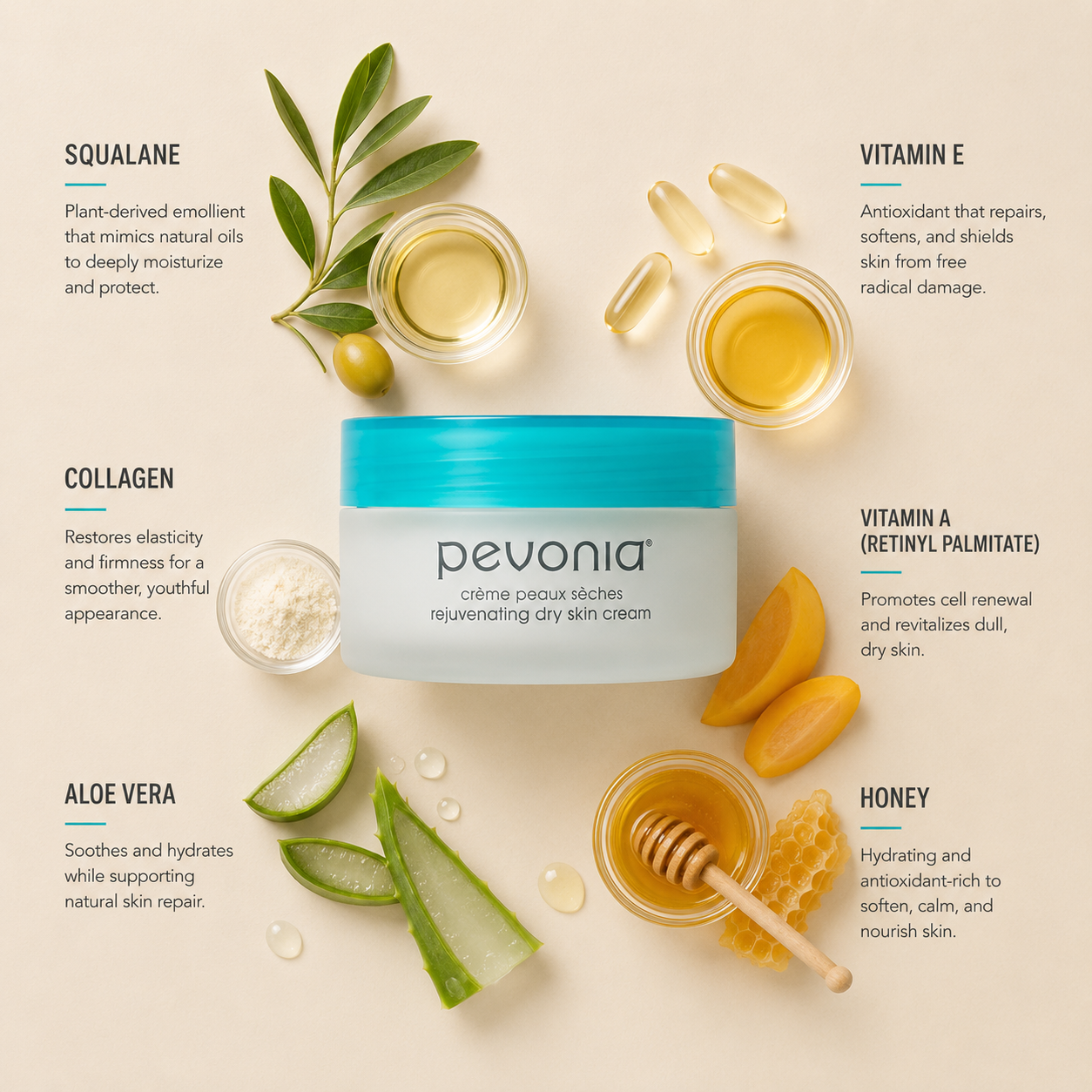 Minimal Pevonia Rejuvenating Dry Skin Cream ingredient flatlay featuring squalane, vitamin E, collagen, vitamin A, aloe vera and honey arranged with clean spacing around the cream jar on a soft neutral background
