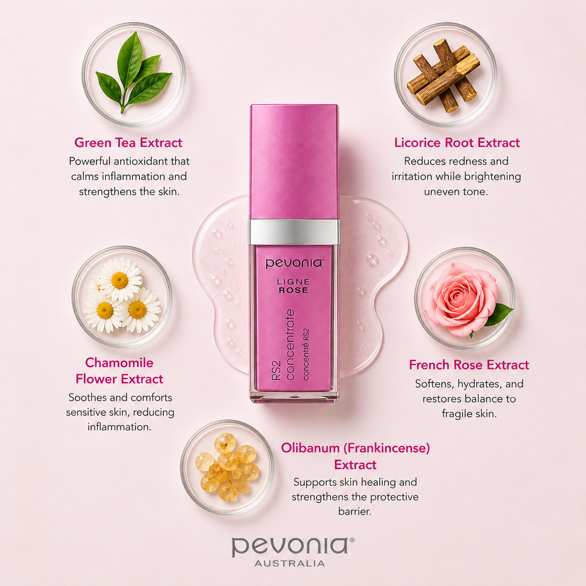 Pevonia RS2 Concentrate ingredient flatlay showing green tea, licorice root, chamomile, rose extract, and frankincense around pink bottle on neutral background