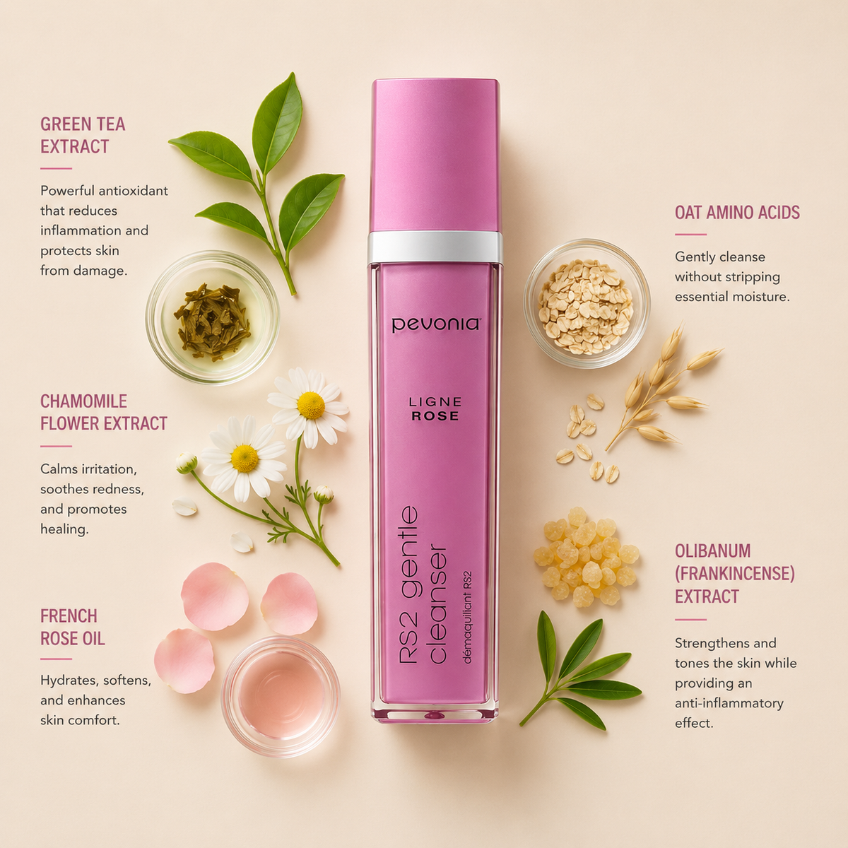Minimal Pevonia RS2 Gentle Cleanser ingredient flatlay featuring green tea extract, chamomile flower extract, French rose oil, oat amino acids and olibanum frankincense extract arranged with clean spacing around the pink cleanser bottle on a soft neutral background