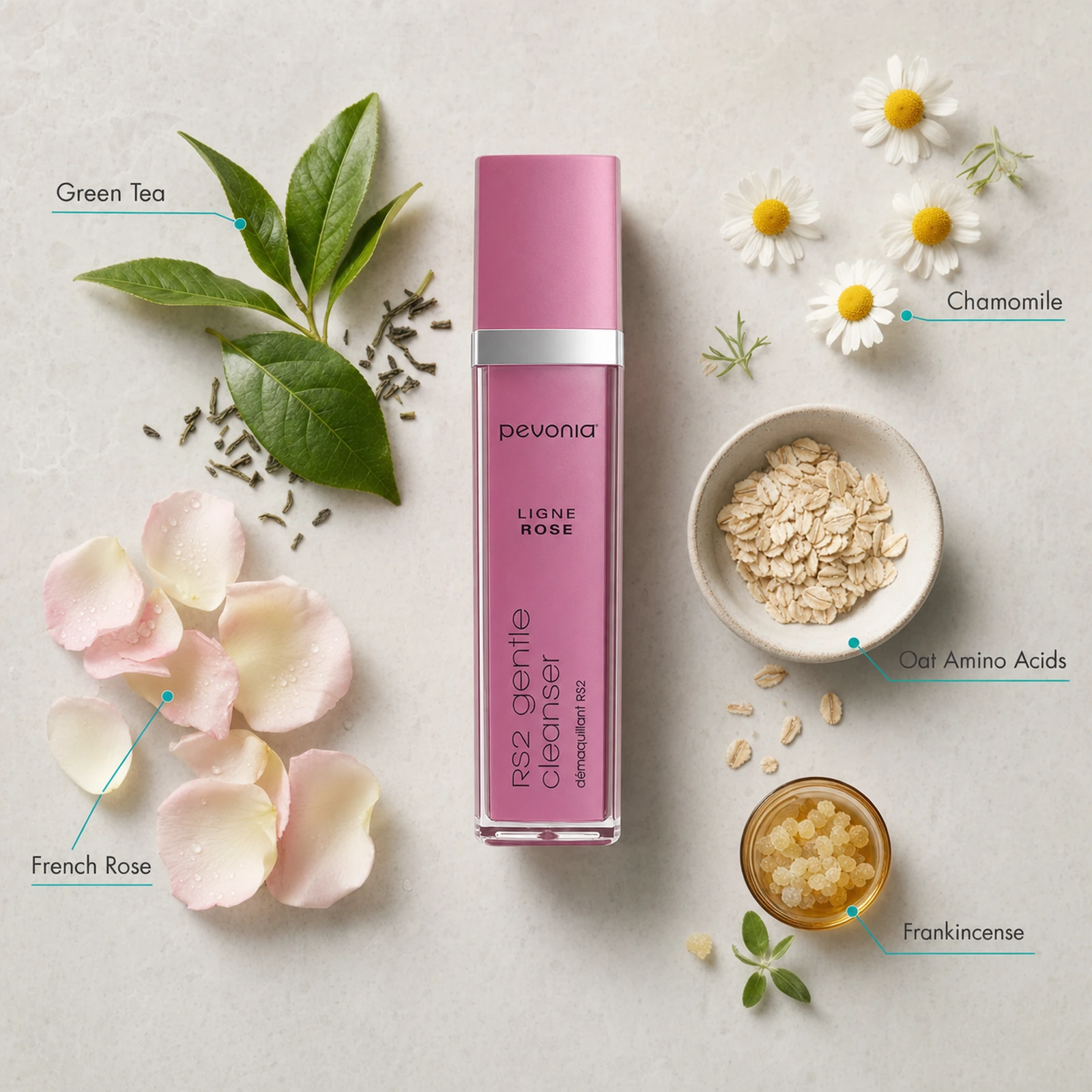 Pevonia RS2 Rosacea Gentle Cleanser 120ml ingredient flatlay with Green Tea, Chamomile, French Rose, Oat Amino Acids and Frankincense