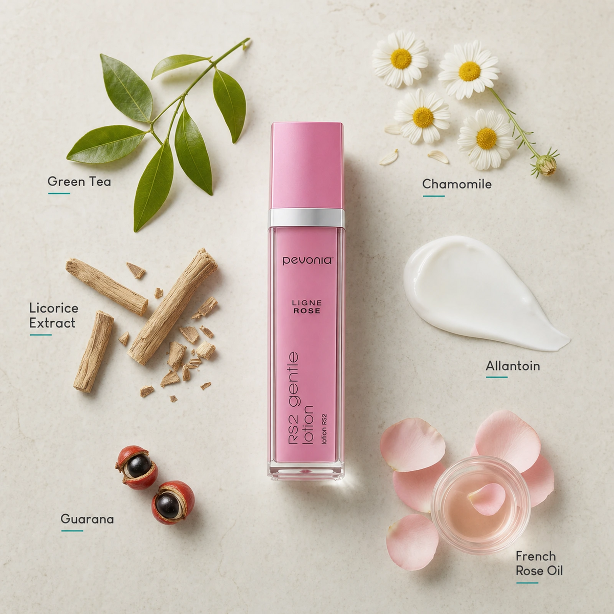 Pevonia RS2 Rosacea Gentle Lotion 120ml ingredient flatlay with Green Tea, Chamomile, Licorice Extract, Allantoin, Guarana and French Rose Oil