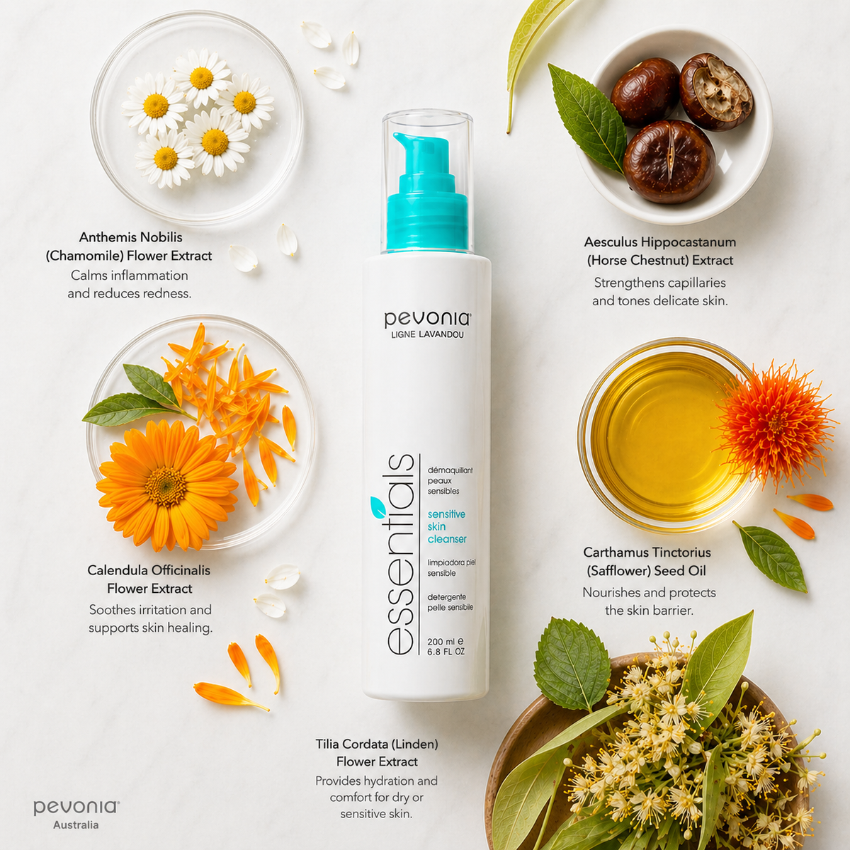 Pevonia Sensitive Skin Cleanser and Soothing Sensitive Skin Cream ingredient flatlay showing chamomile, calendula, horse chestnut, safflower oil, propolis, aloe vera, bisabolol, panthenol, allantoin, and hazelnut oils for calming and barrier support in sensitive skin treatments