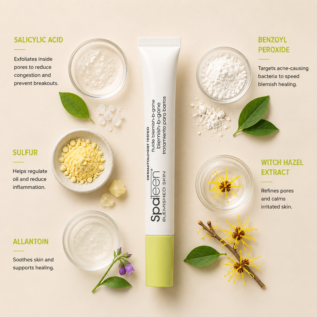 Pevonia SpaTeen Blemish B-Gone ingredient flatlay featuring salicylic acid, benzoyl peroxide, sulfur, witch hazel extract and allantoin arranged around the blemish treatment tube on a soft neutral background
