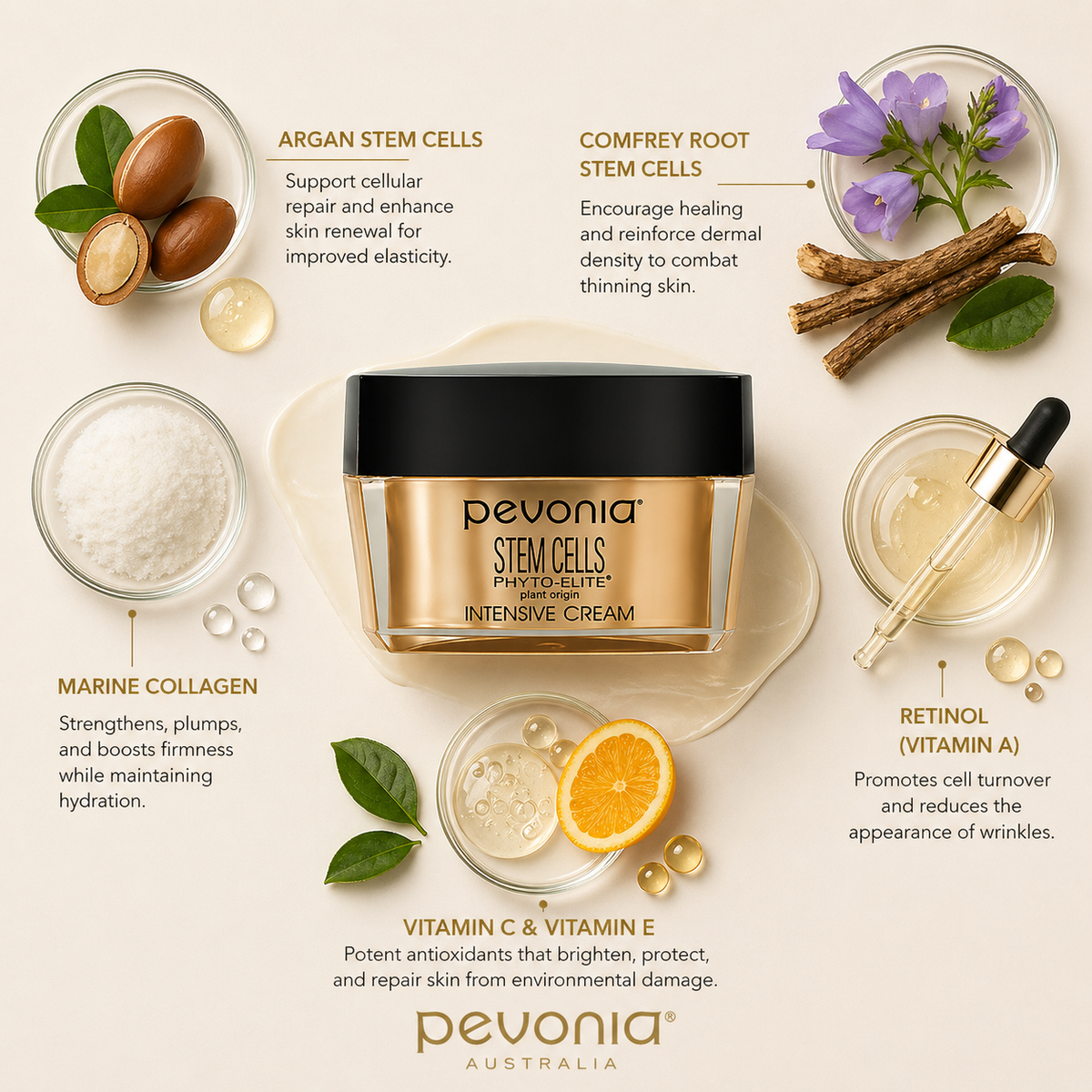 Pevonia Stem Cells Phyto-Elite Intensive Cream ingredient flatlay showing argan stem cells, comfrey root stem cells, marine collagen, retinol, and vitamins C and E around cream jar on neutral background