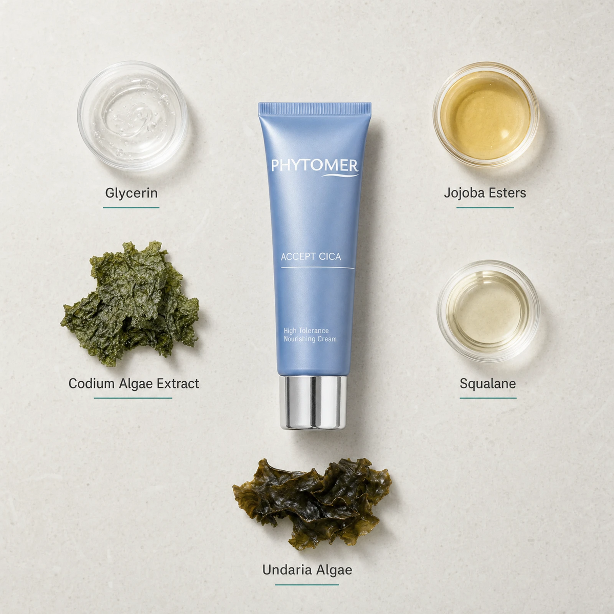 Phytomer Accept Cica High Tolerance Nourishing Cream 50ml flatlay on limestone surface with Glycerin, Jojoba Esters, Codium Algae Extract, Squalane, and Undaria Algae