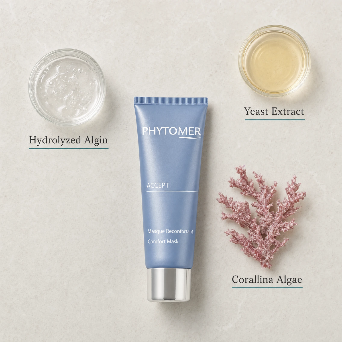 Phytomer Accept Comfort Mask 50ml flatlay on limestone surface with Hydrolyzed Algin, Yeast Extract, and Corallina Algae