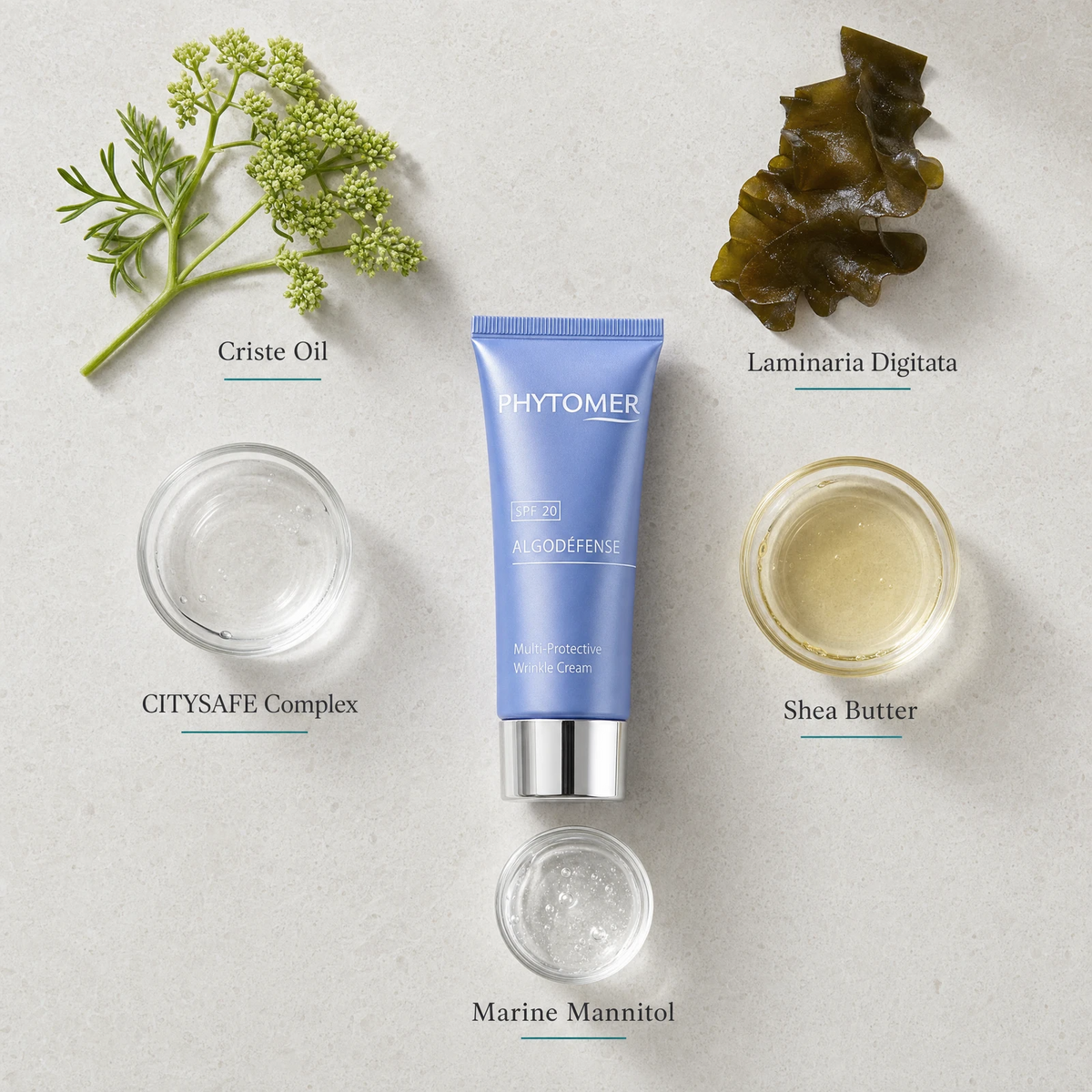 Phytomer Algodefense SPF20 Multi-Protective Wrinkle Cream 50ml flatlay on limestone surface with Criste Oil, Laminaria Digitata, CITYSAFE Complex, Shea Butter, and Marine Mannitol