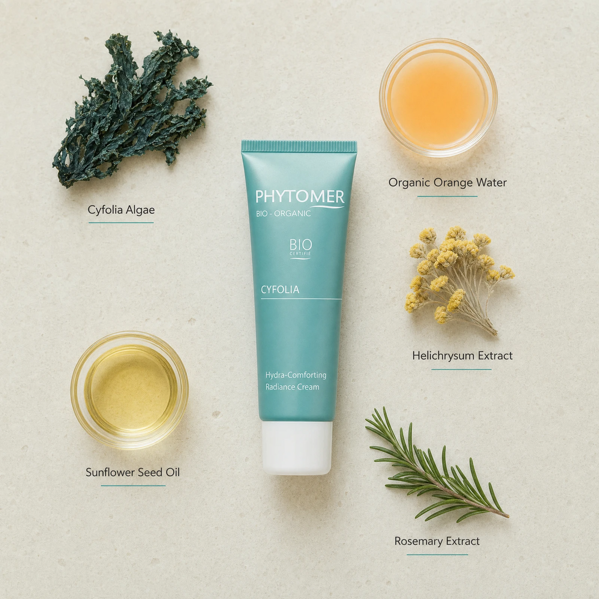 Phytomer Cyfolia Organic Hydra-Comforting Radiance Cream 50ml flatlay on limestone surface with Cyfolia Algae, Organic Orange Water, Helichrysum Extract, Sunflower Seed Oil, and Rosemary Extract