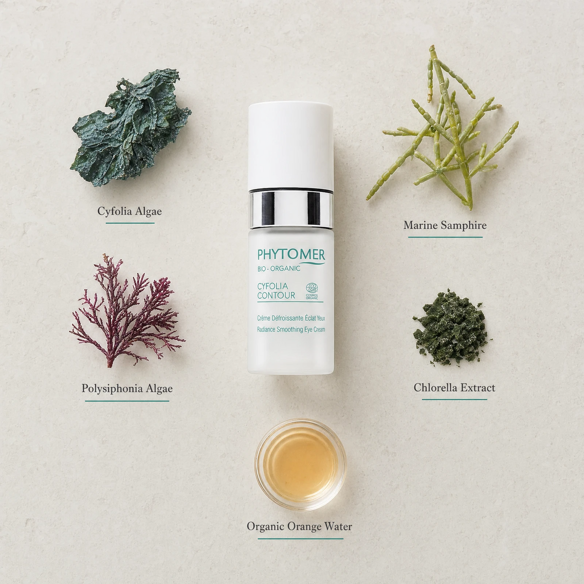 Phytomer Cyfolia Organic Radiance Smoothing Eye Cream 15ml flatlay on limestone surface with Cyfolia Algae, Marine Samphire, Polysiphonia Algae, Chlorella Extract, and Organic Orange Water