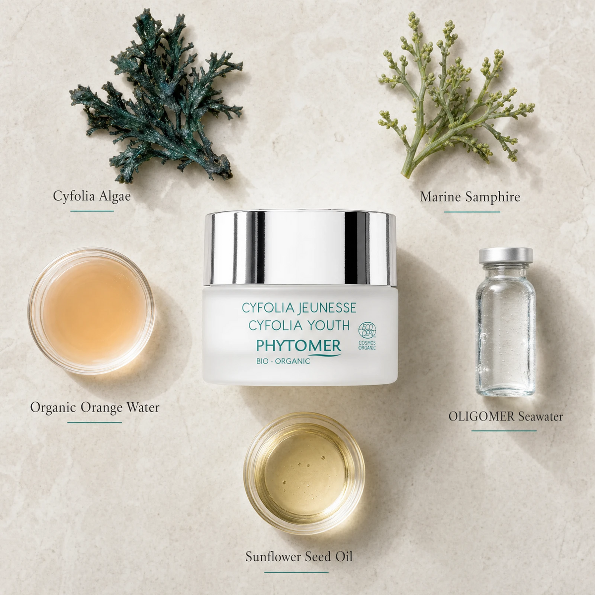 Phytomer Cyfolia Organic Youth Glow Renewing Wrinkle Cream 50ml flatlay on limestone surface with Cyfolia Algae, Marine Samphire, Organic Orange Water, OLIGOMER Seawater, and Sunflower Seed Oil