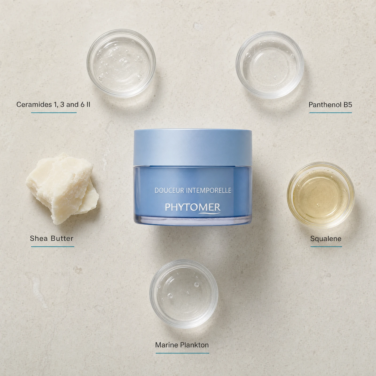 Phytomer Douceur Intemporelle Restorative Shield Cream 50ml flatlay on limestone surface with Ceramides 1, 3 and 6 II, Panthenol B5, Shea Butter, Squalene, and Marine Plankton