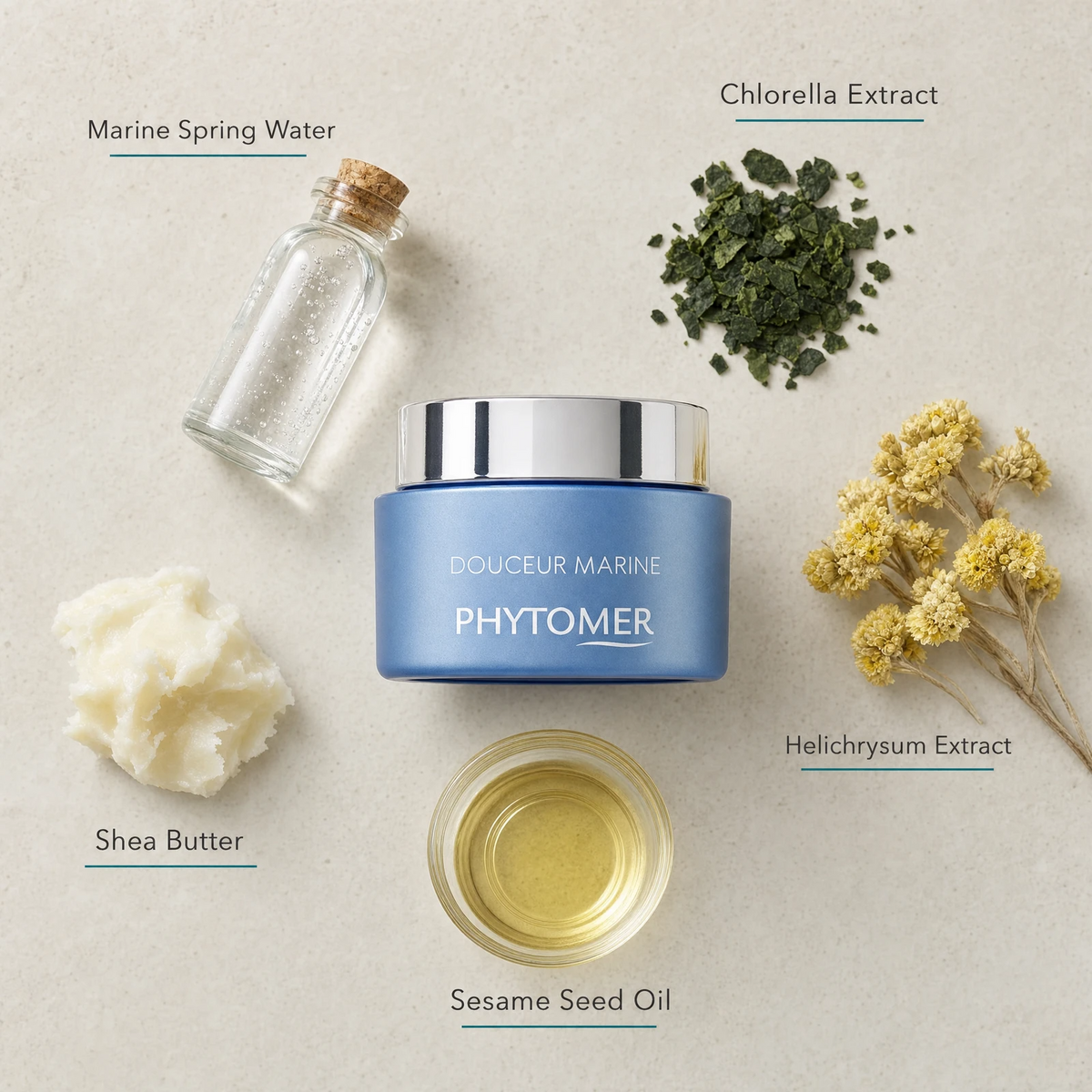 Phytomer Douceur Marine Soothing Moisturising Cream 50ml flatlay on limestone surface with Marine Spring Water, Chlorella Extract, Helichrysum Extract, Shea Butter, and Sesame Seed Oil