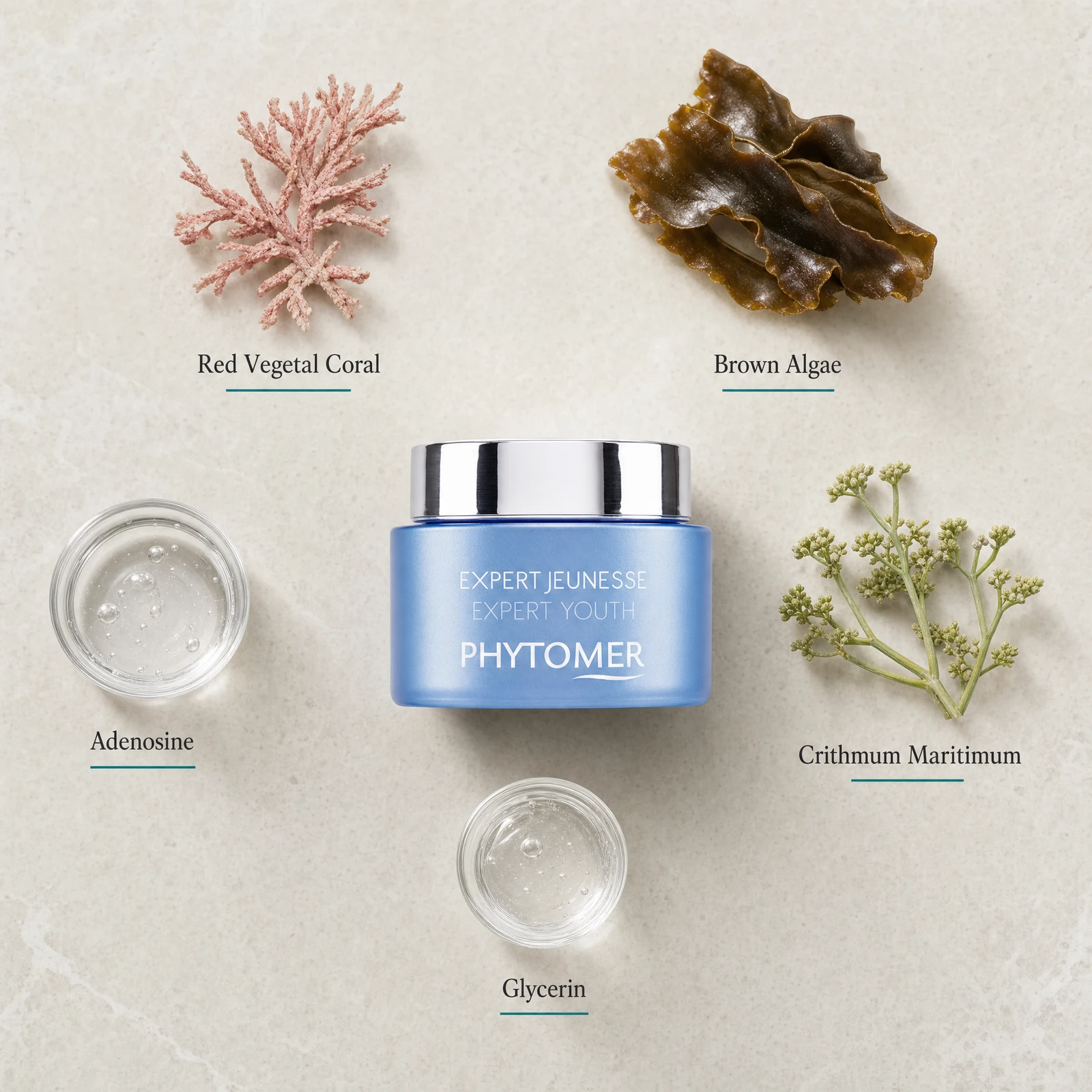 Phytomer Expert Youth Wrinkle Plumping Cream 50ml flatlay on limestone surface with Red Vegetal Coral, Brown Algae, Adenosine, Crithmum Maritimum, and Glycerin