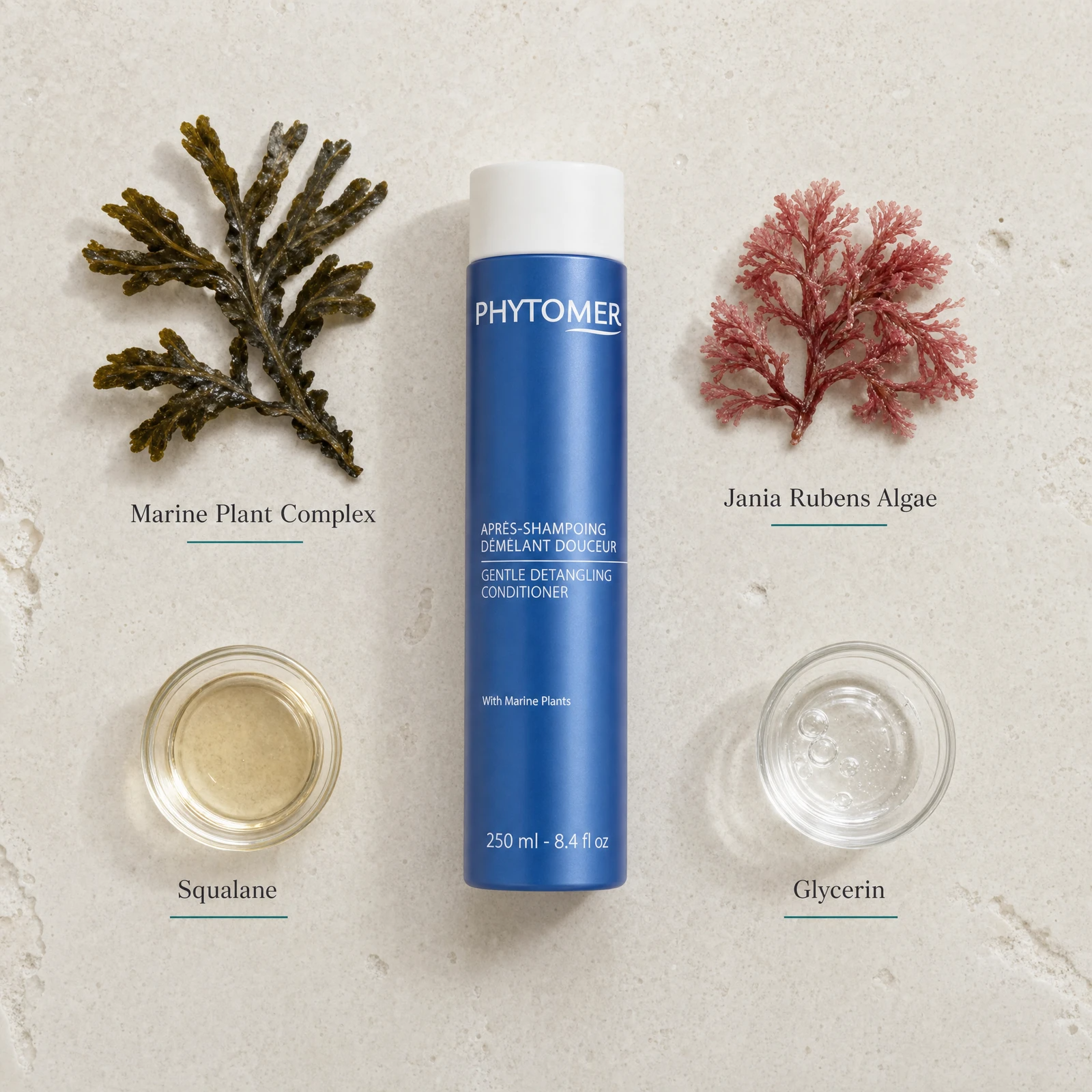 Phytomer Gentle Detangling Conditioner with Marine Plants 250ml flatlay on limestone surface with Marine Plant Complex, Jania Rubens Algae, Squalane, and Glycerin