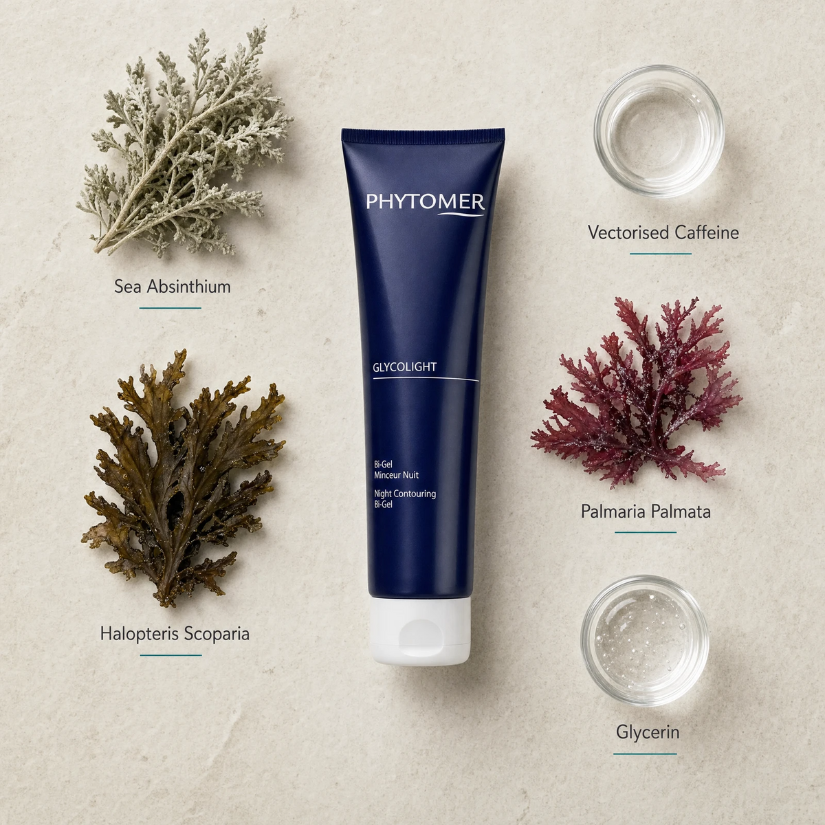 Phytomer Glycolight Night Contouring Bi-Gel 150ml flatlay on limestone surface with Sea Absinthium, Vectorised Caffeine, Halopteris Scoparia, Palmaria Palmata, and Glycerin